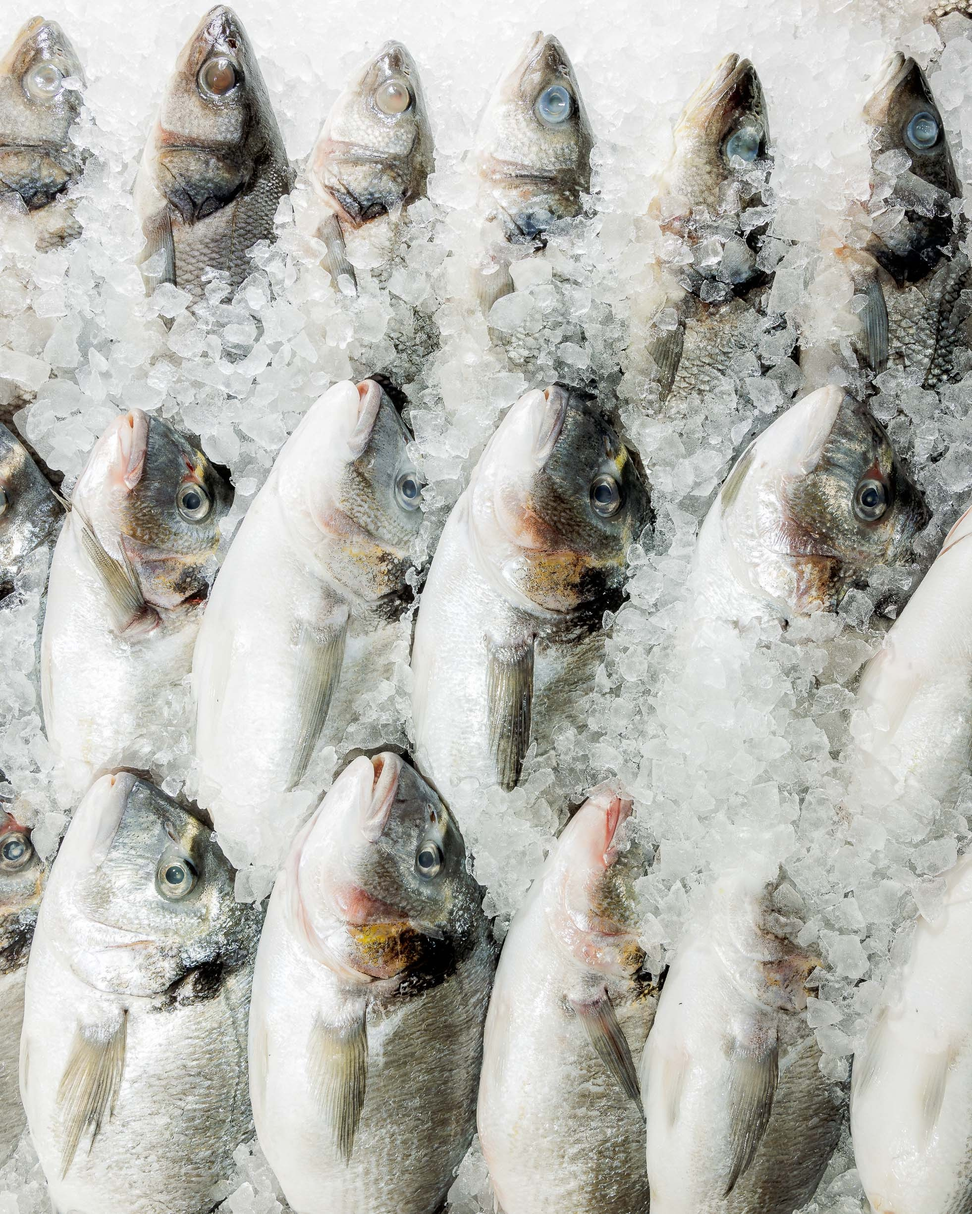 Фуд Сити - Репортаж для Т-Ж