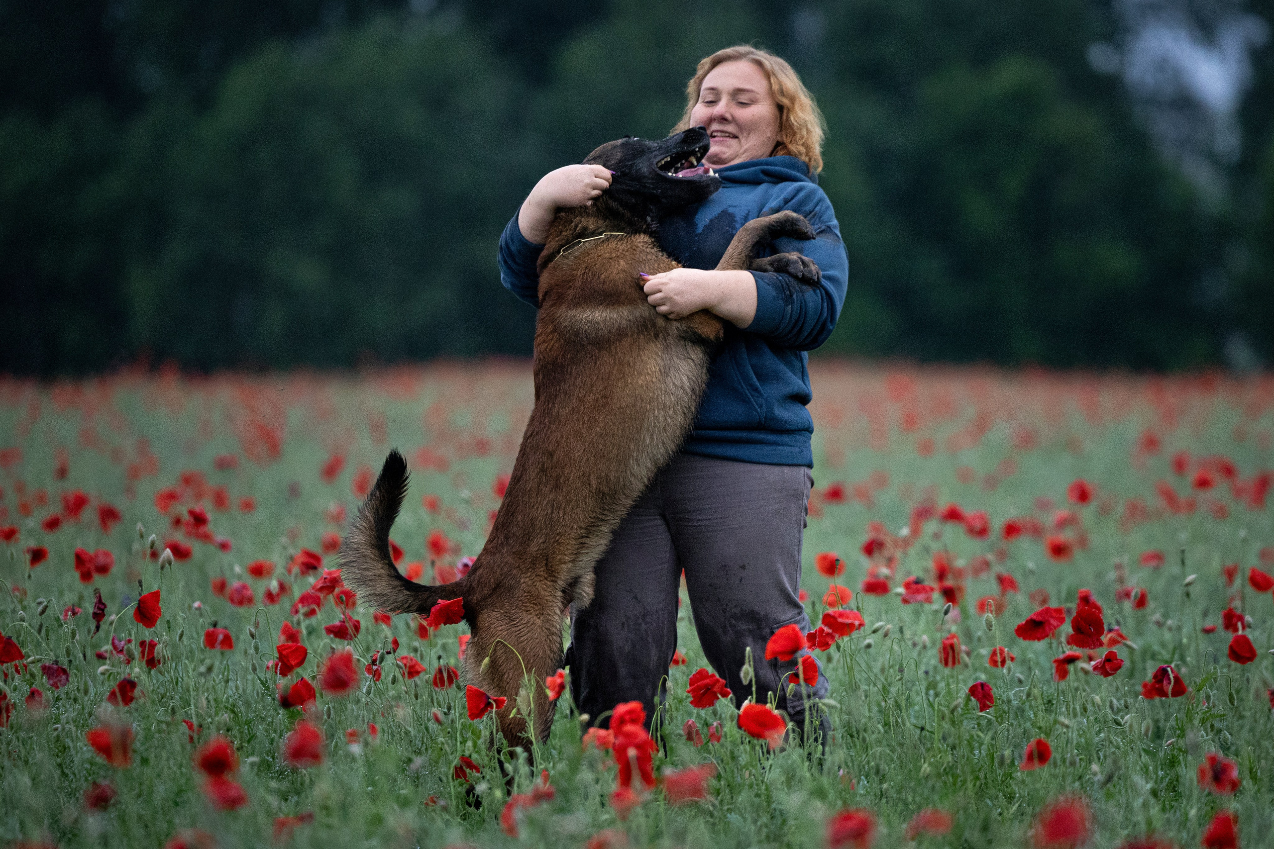 Маковое поле. Фотограф-анималист Анна Маринич