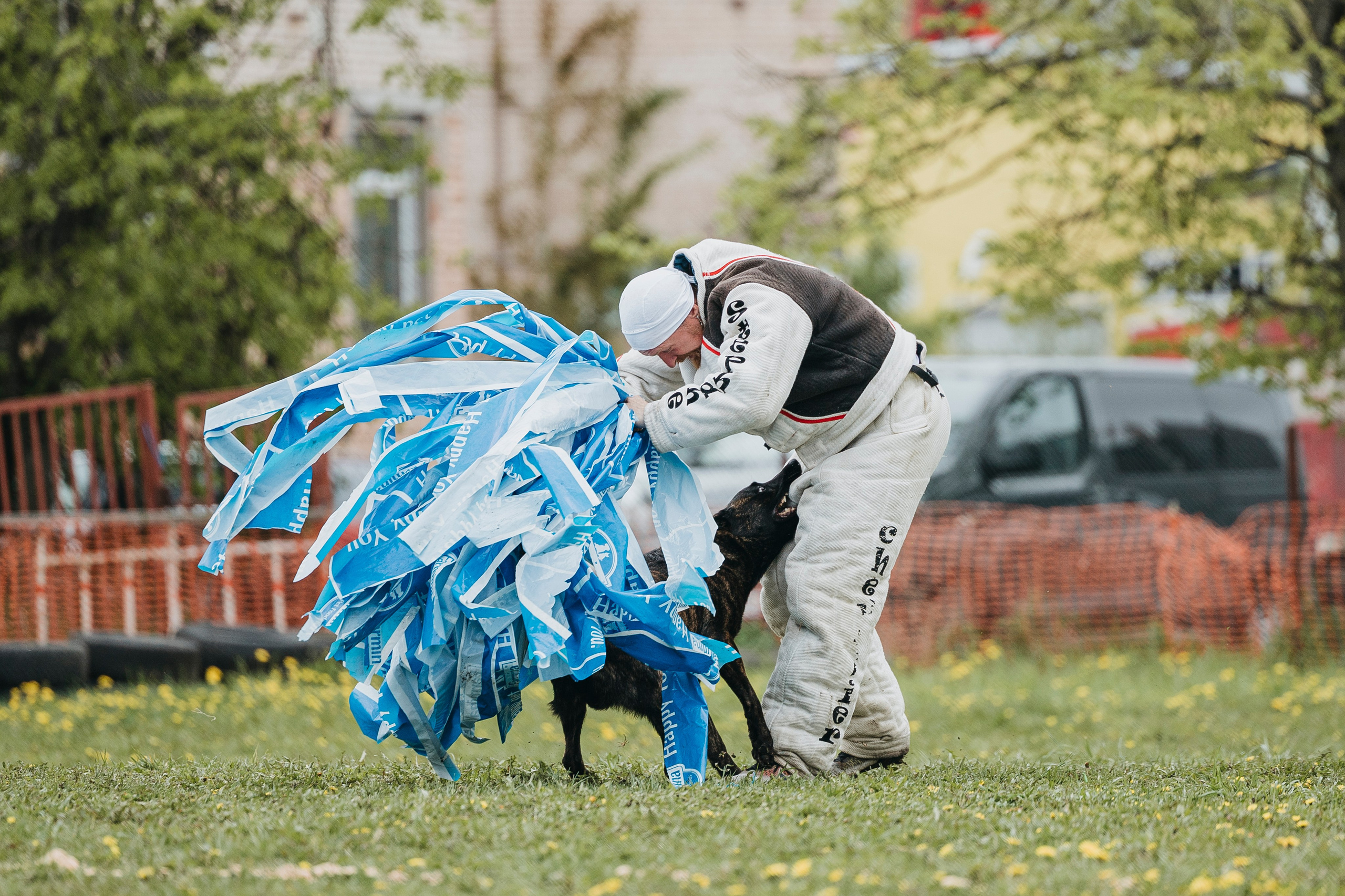 26.05.25 г. Пушкин квалификационные соревнования. Фотограф-анималист Анна Маринич