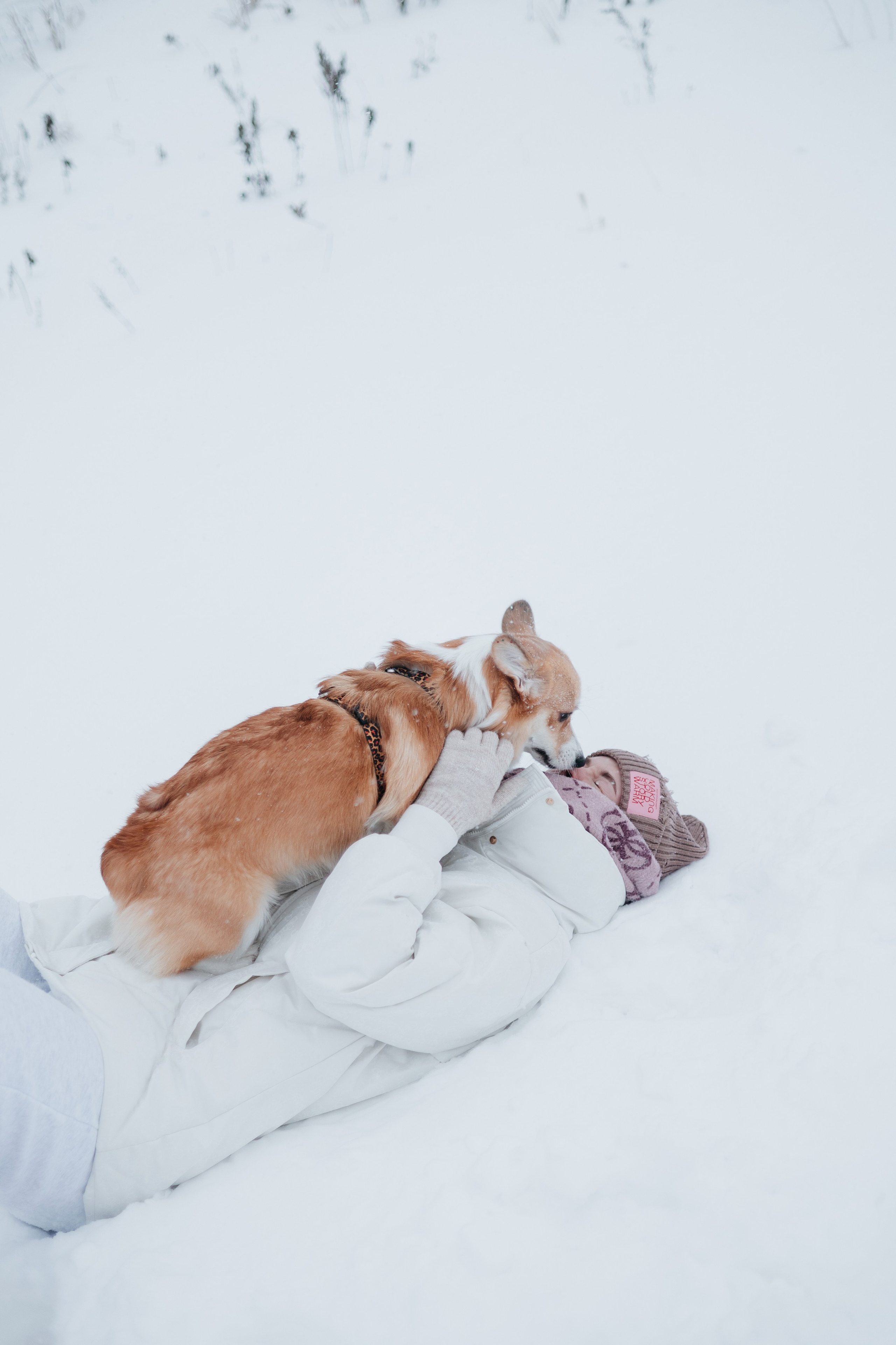Лена, Лиза и Мия. Фотограф — анималист Владивосток, Алина