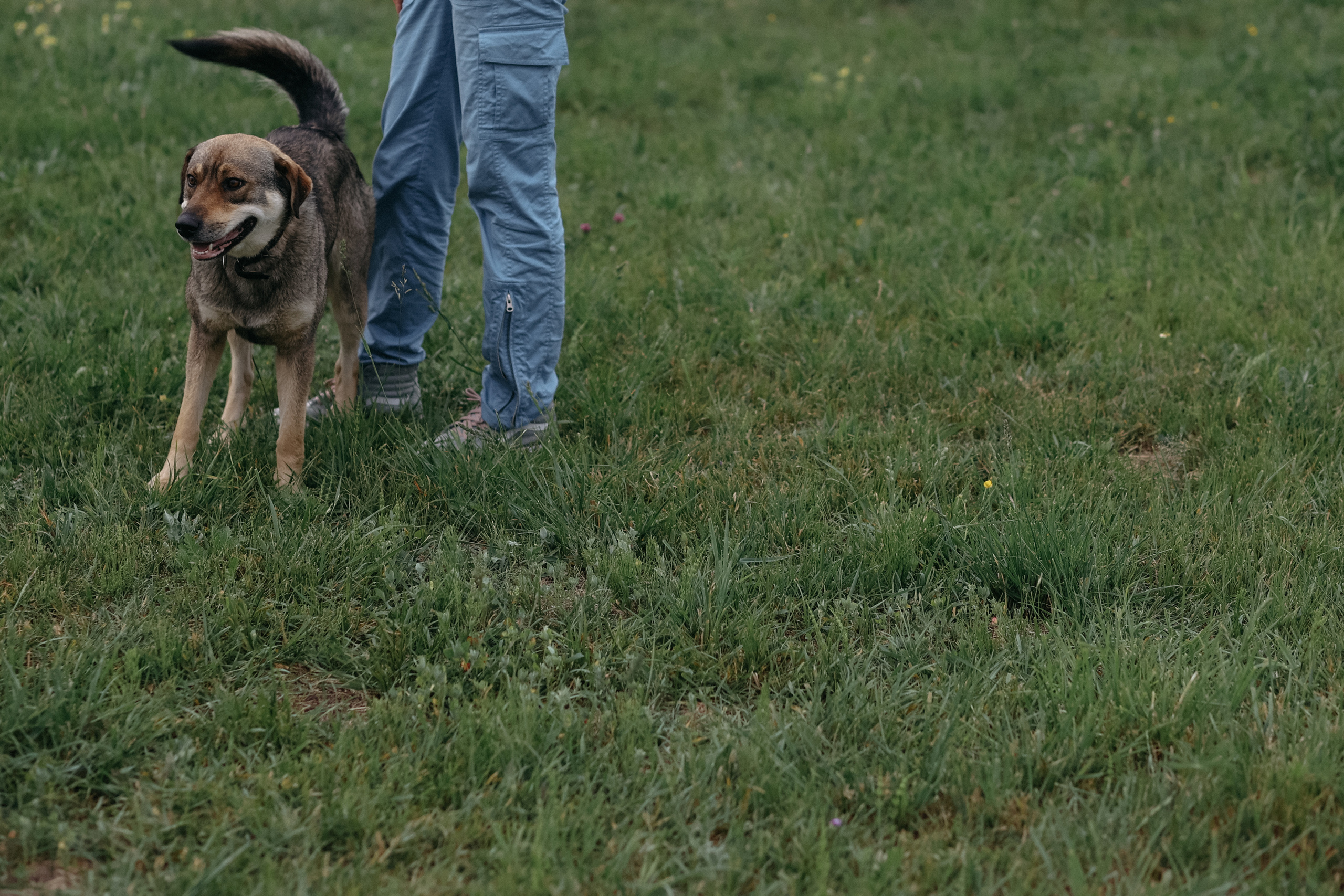 Wedding day Дима и Саша. Свадебный фотограф Полина Мишуринская