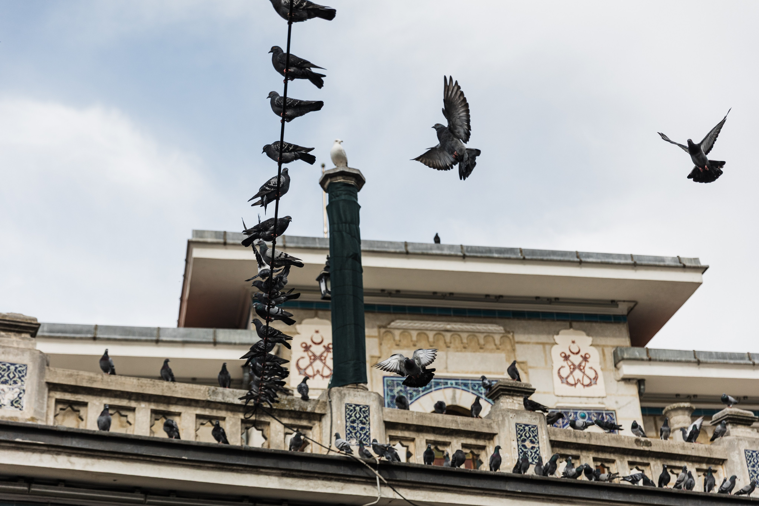 Türkiye. Свадебный и семейный фотограф в Краснодаре Роман Моско