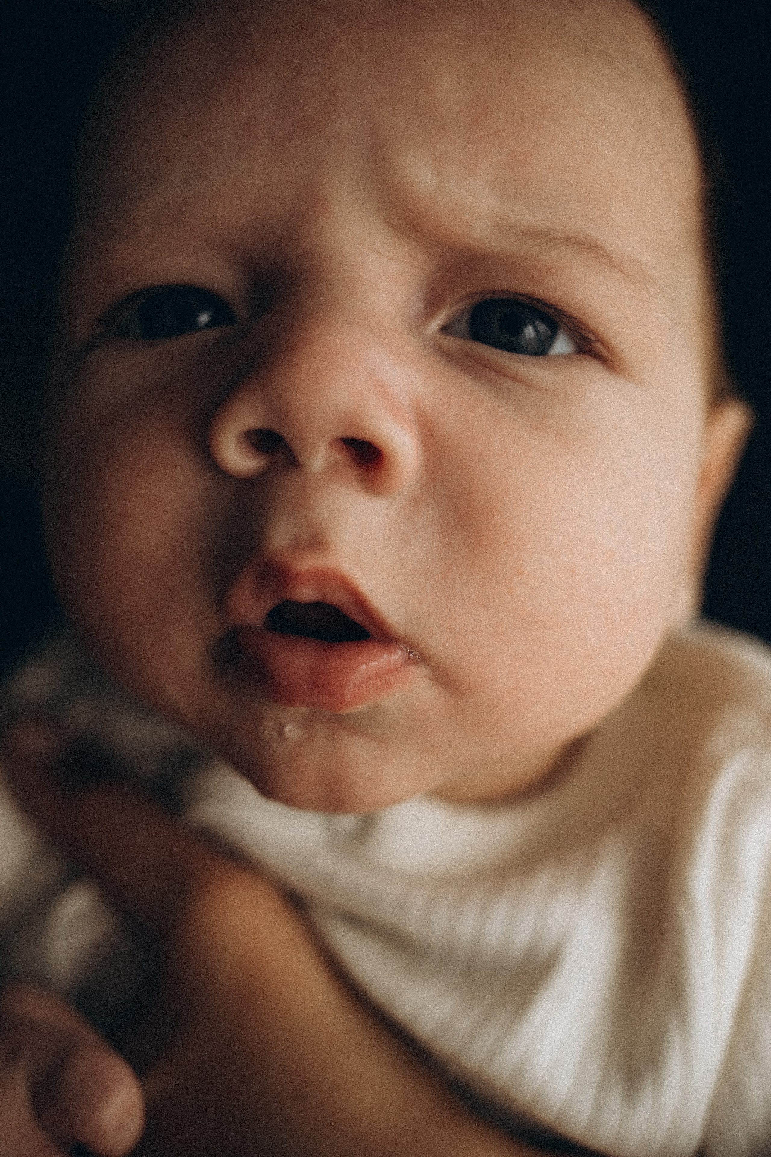 Кирилл, Лена и Матвей. Семейный и свадебный фотограф Анна Кожокарь