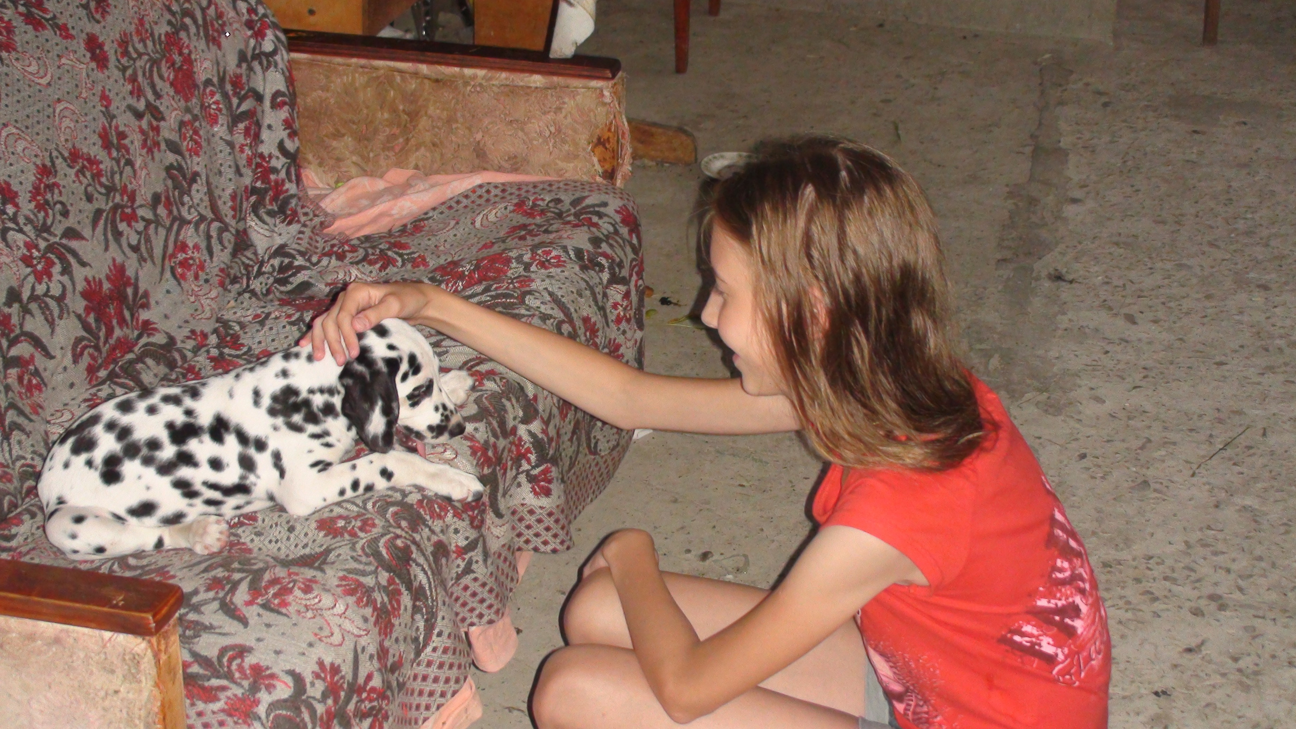 Кабардинка 05-19.07.2013. Семейный, Свадебный фотограф СПБ Питер— Романова Екатерина