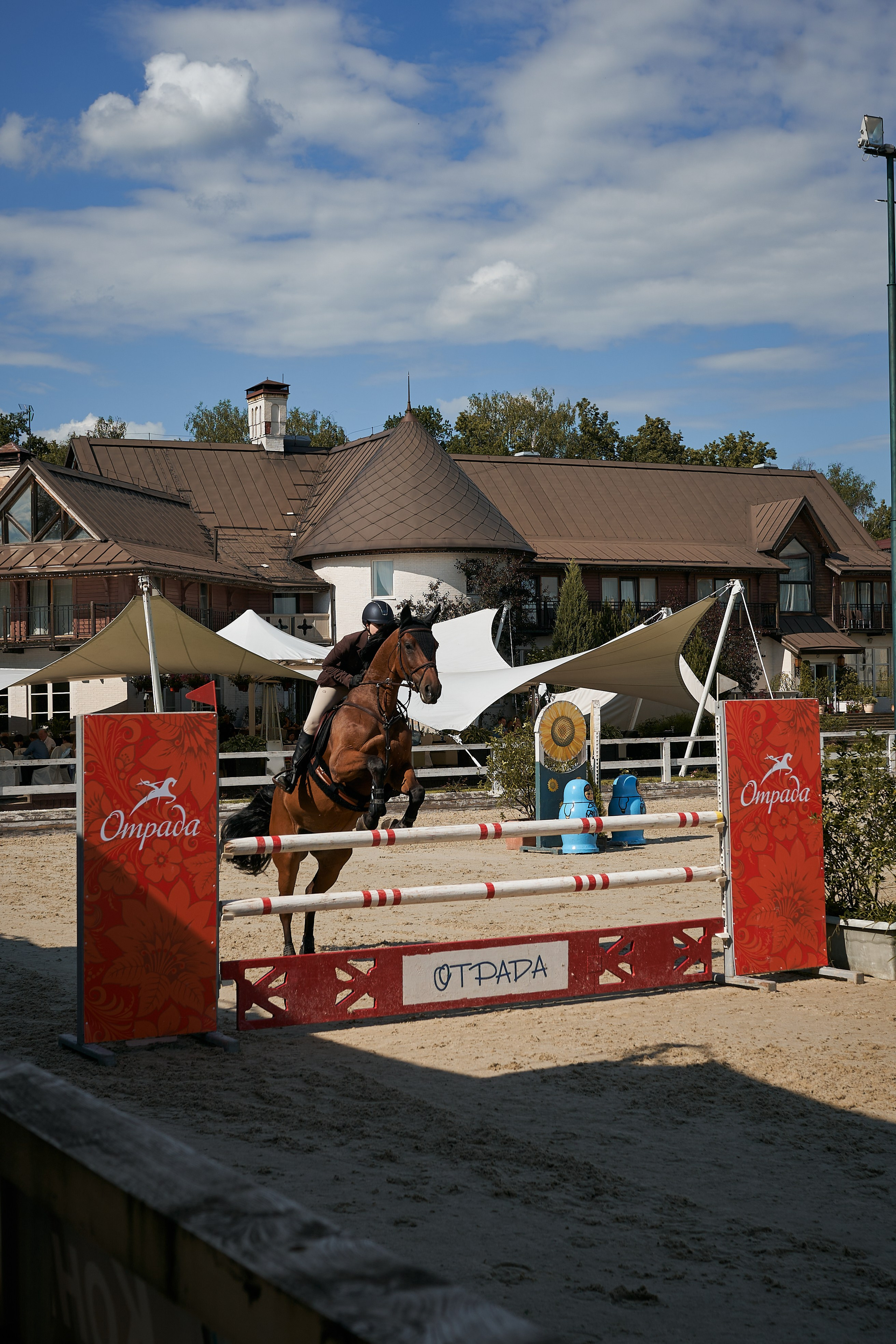 Алиса и Кон Челла В. Фотосессии с лошадьми в Москве, Новосибирске
