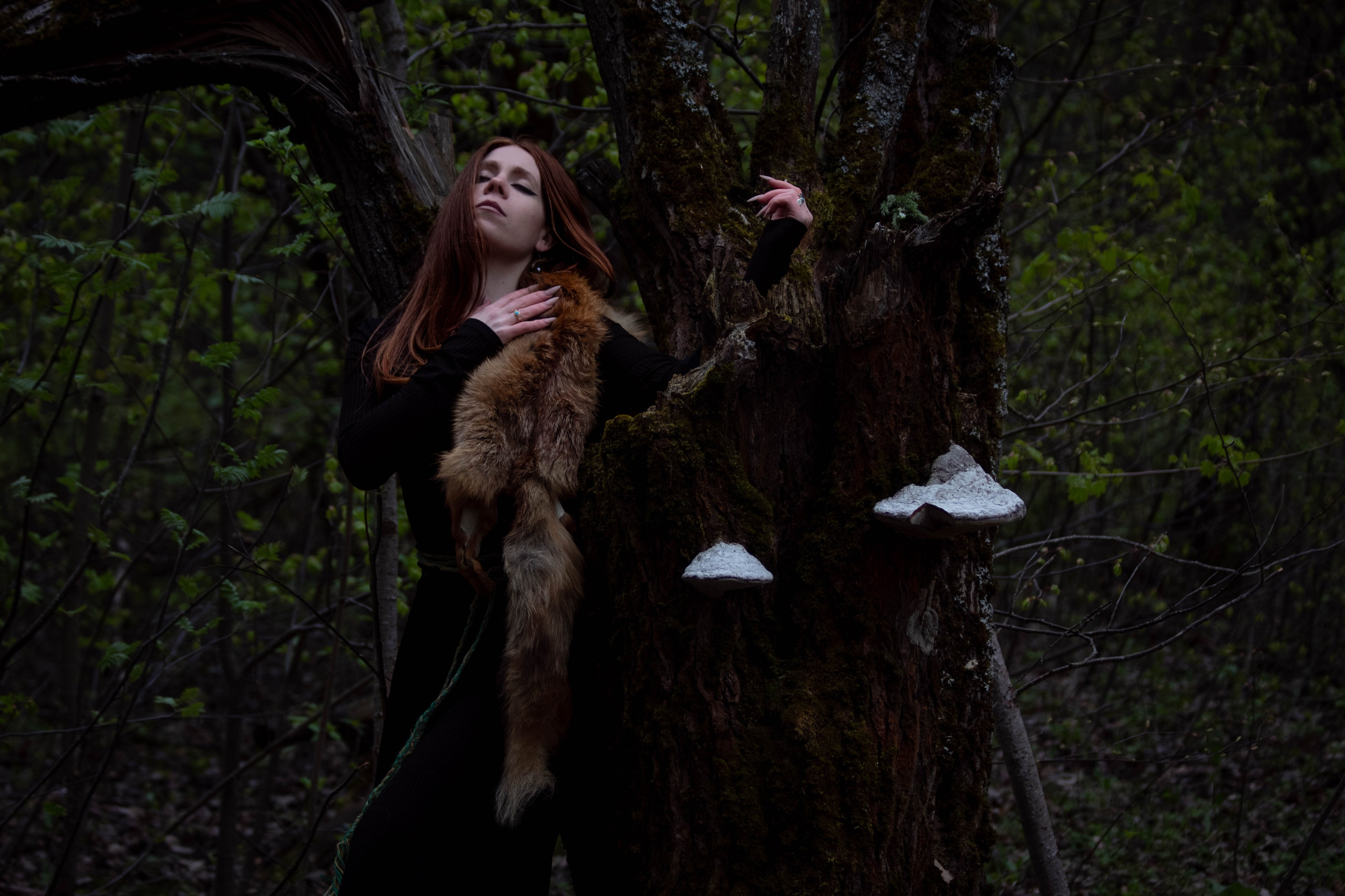 Фотограф Тула 