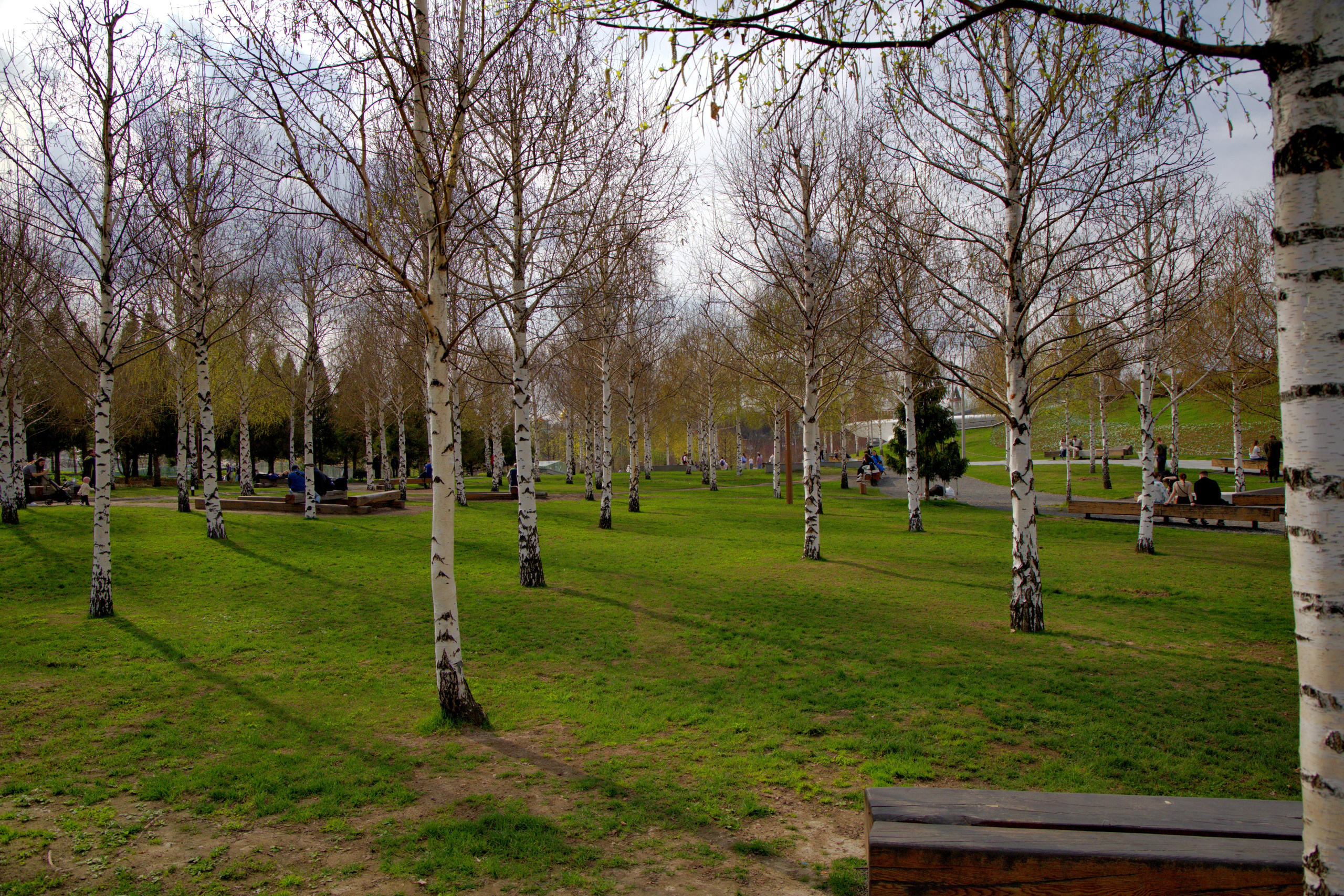 Парк Зарядье. 