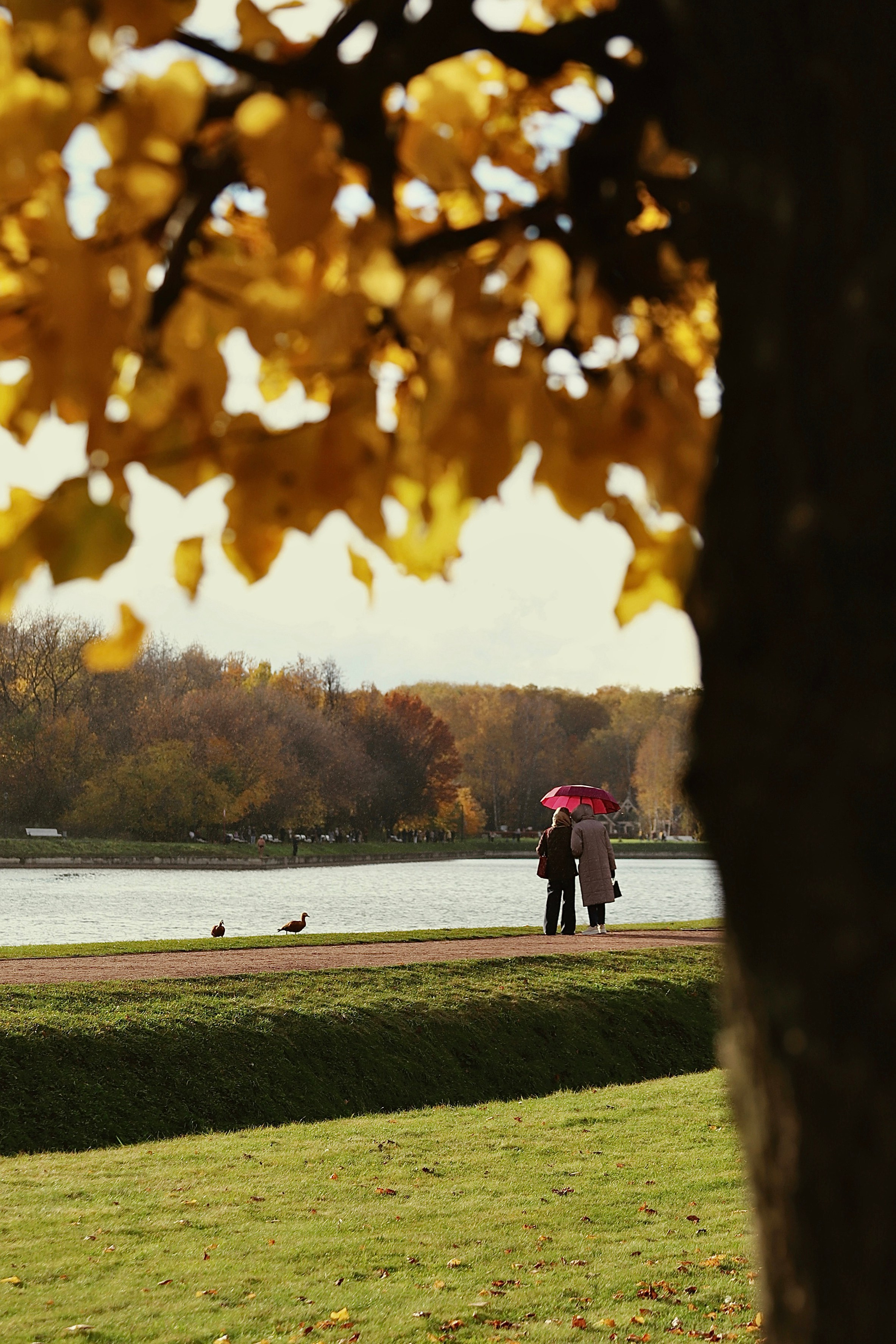 Улицы. Фотографии Марины Бурнашовой