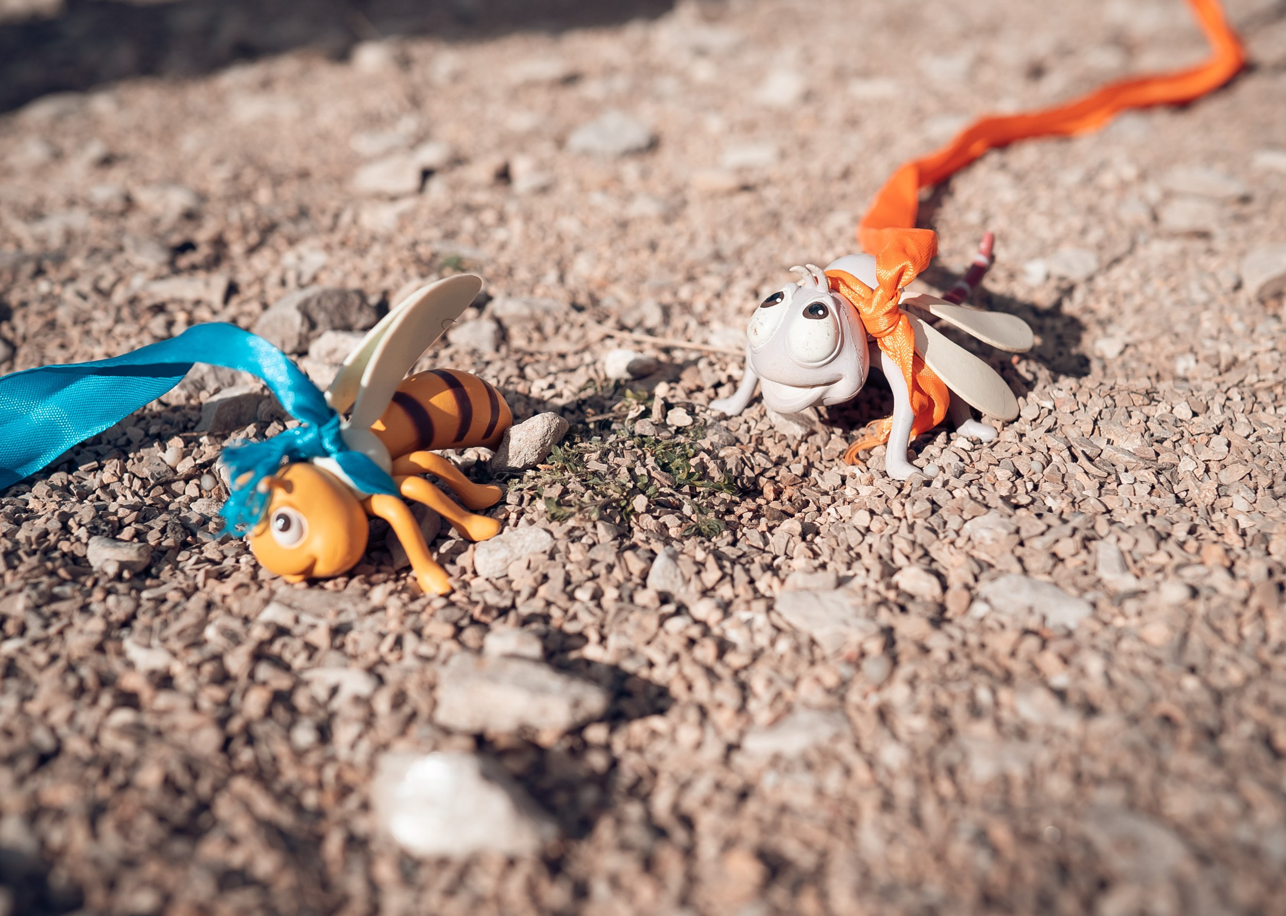 Масленица, храм Вознесения Господне, г. Севастополь. Церковный фотограф Севастополь