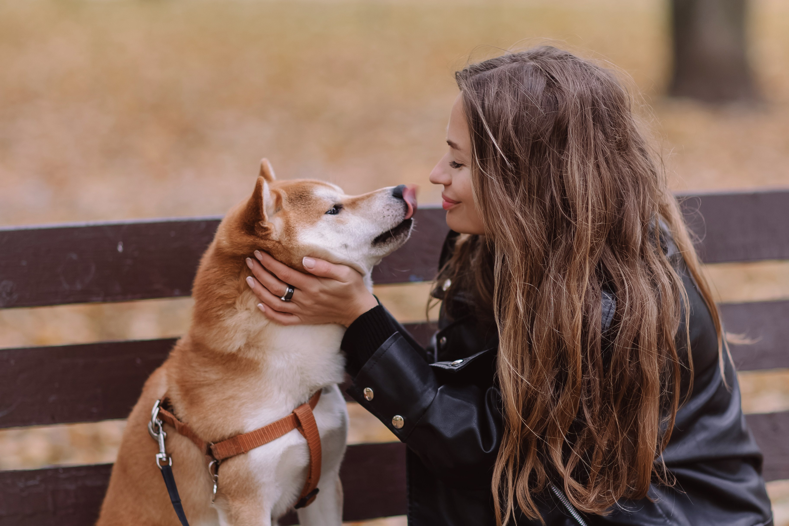 Юлия. Свадебный фотограф