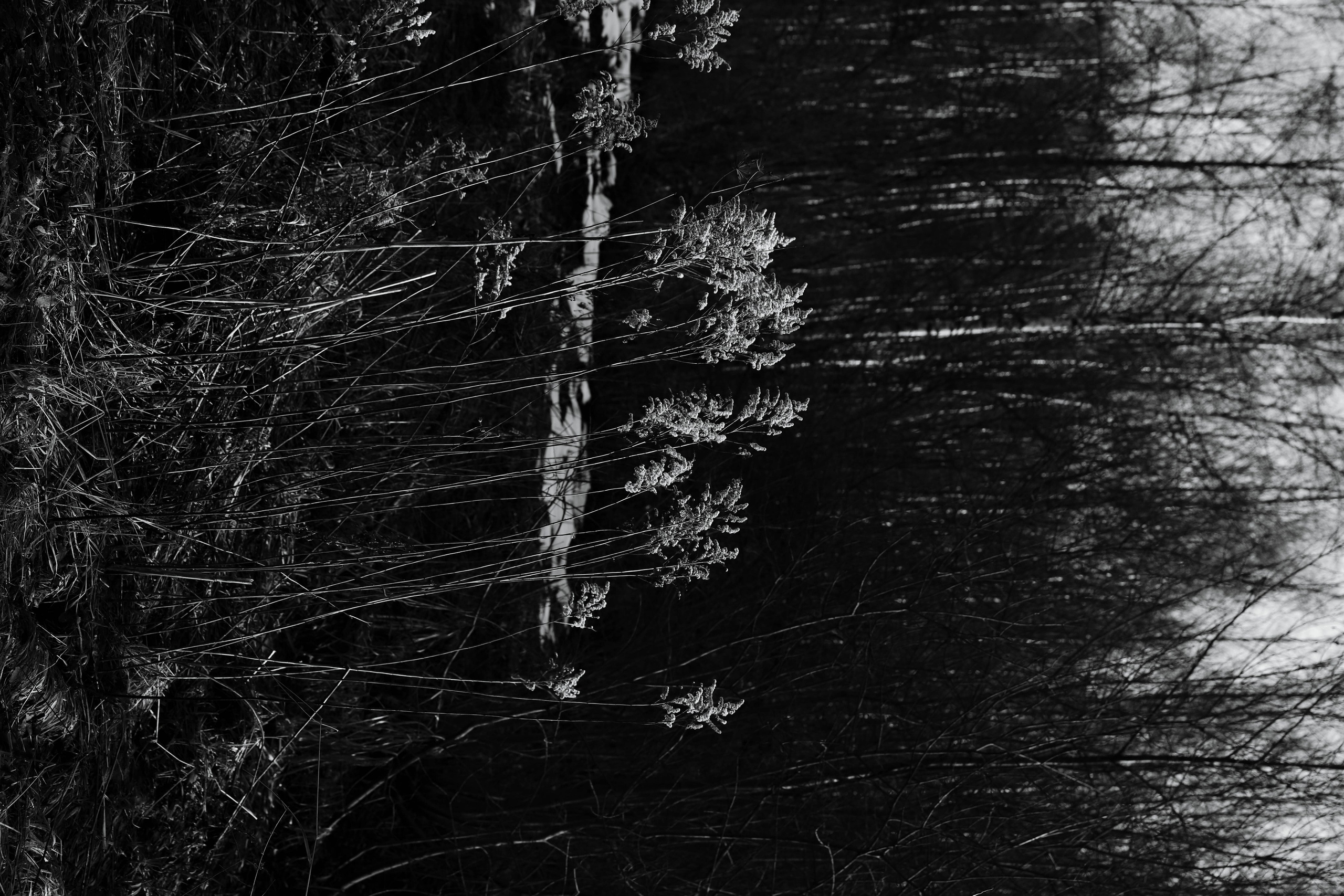 /все что вокруг. Kristina Rashkovskaya