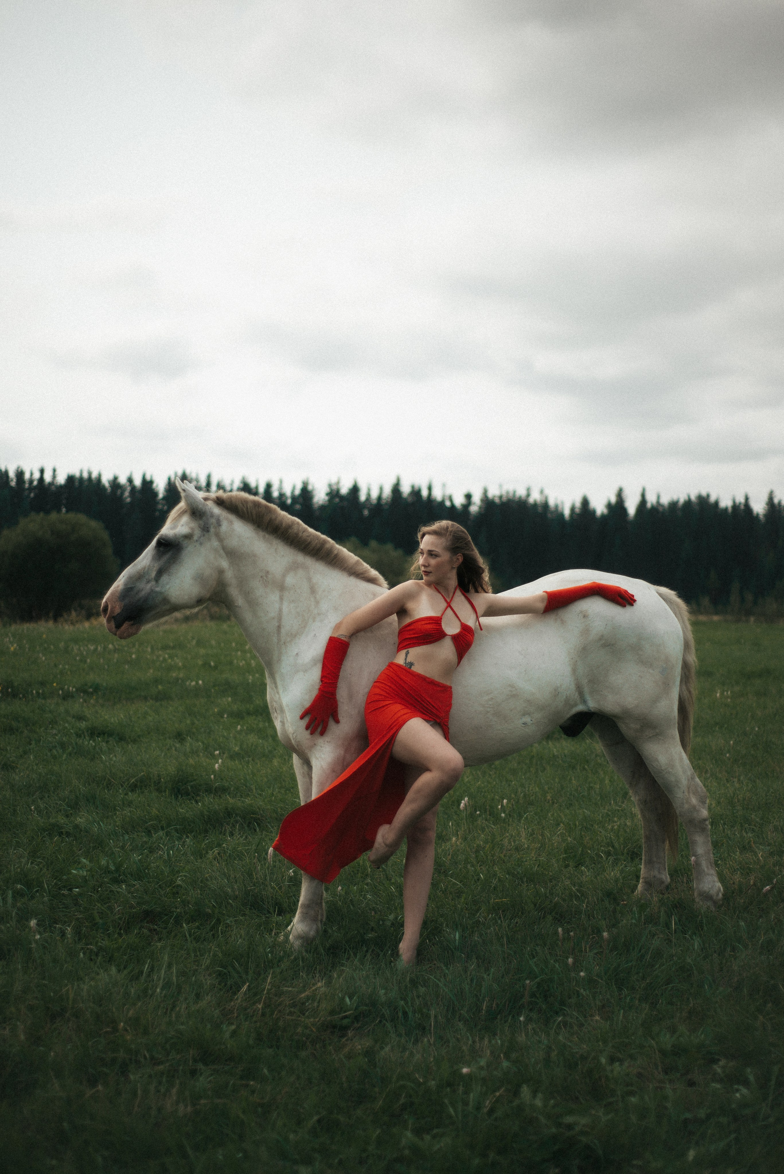 Horse. Фотограф