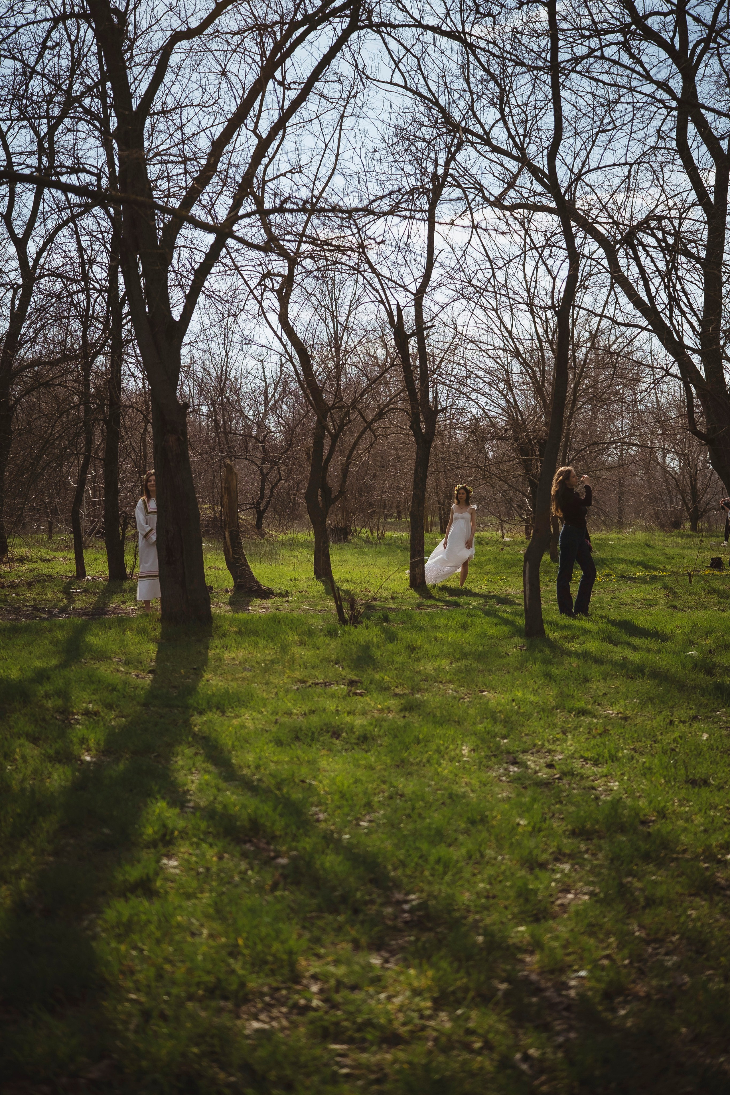 Зеленый остров. Главная