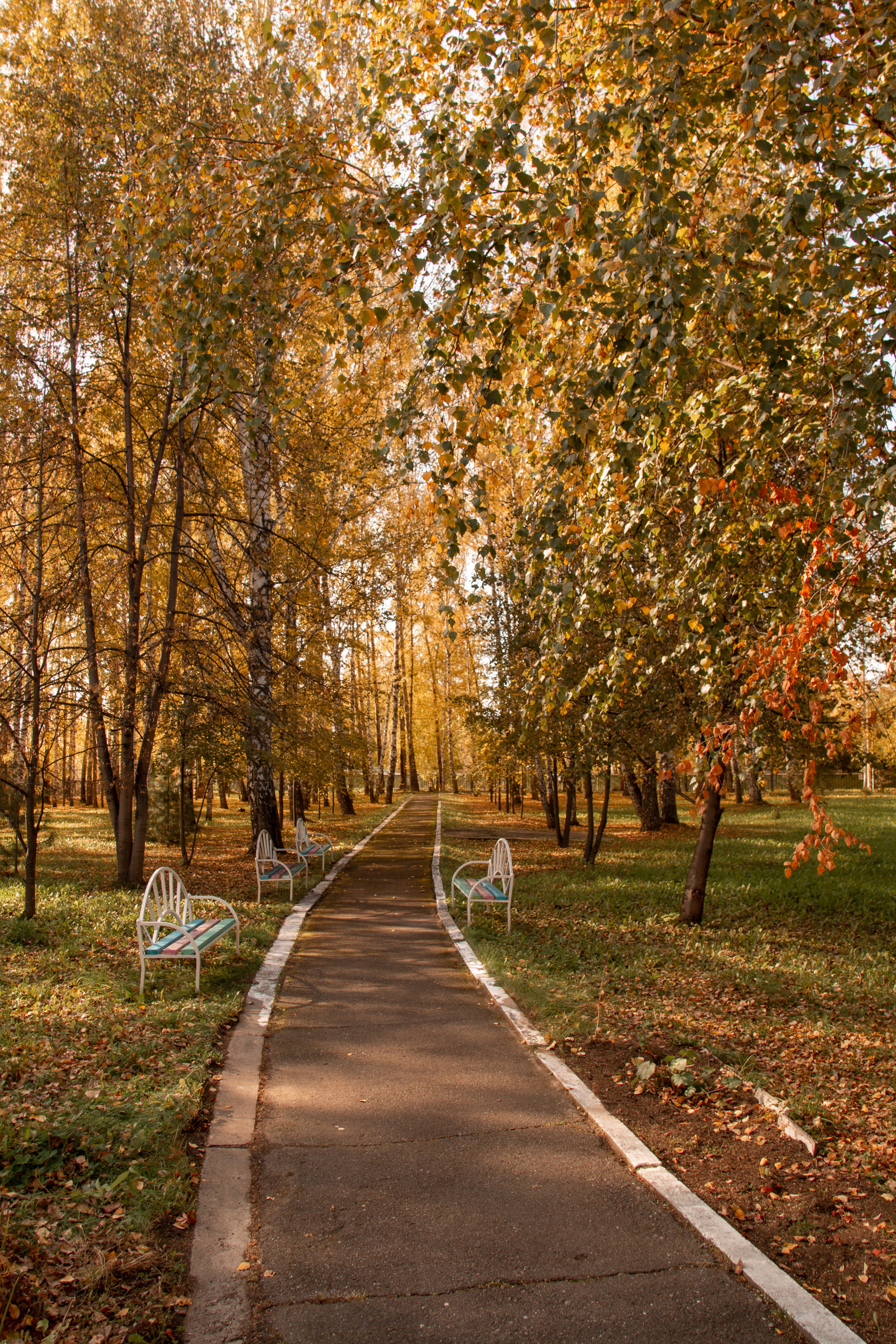 Осень. Ваш фотограф Северск | Томск