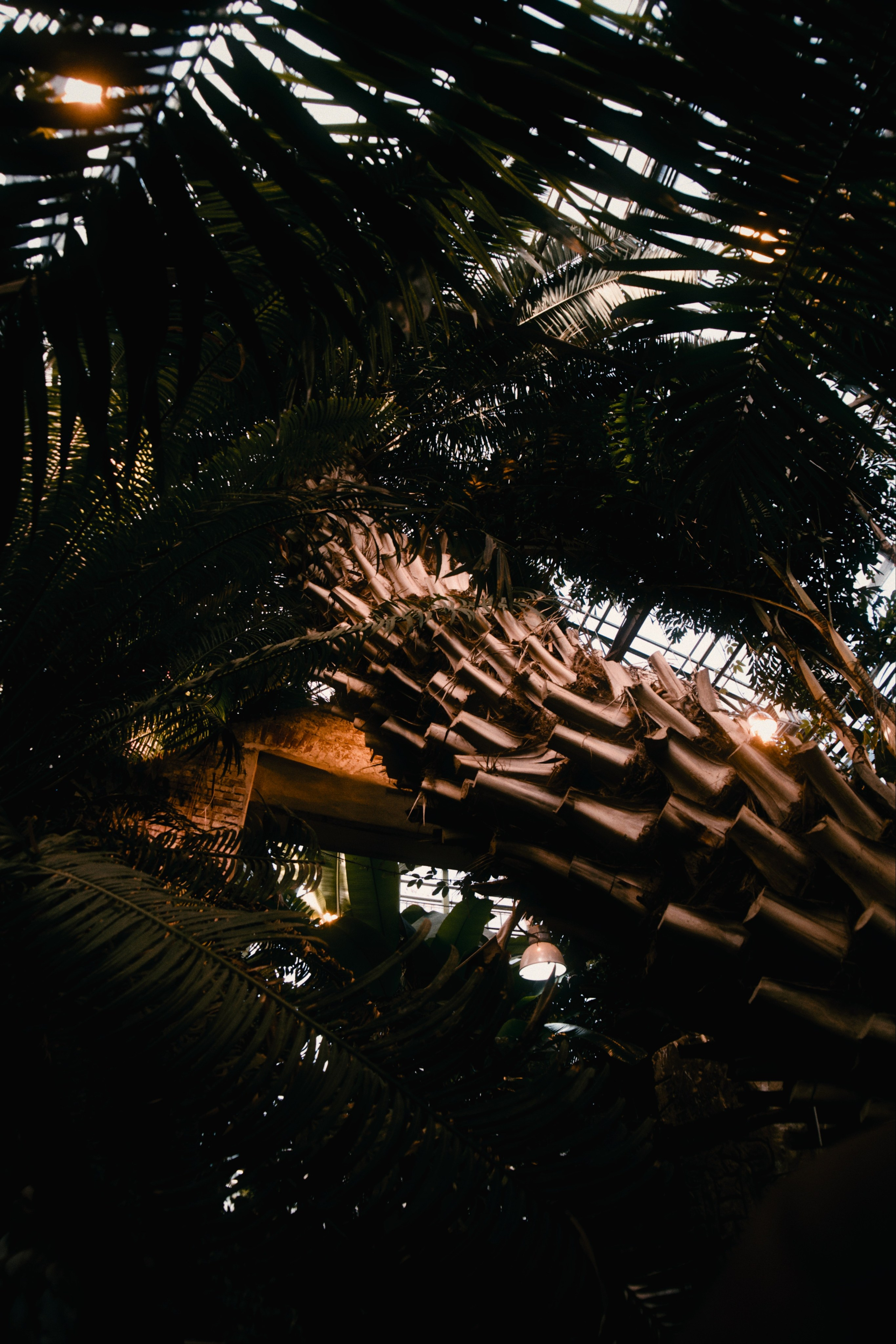 Аптекарский огород. Фотограф-любитель из Кирова Андрей Погребняк