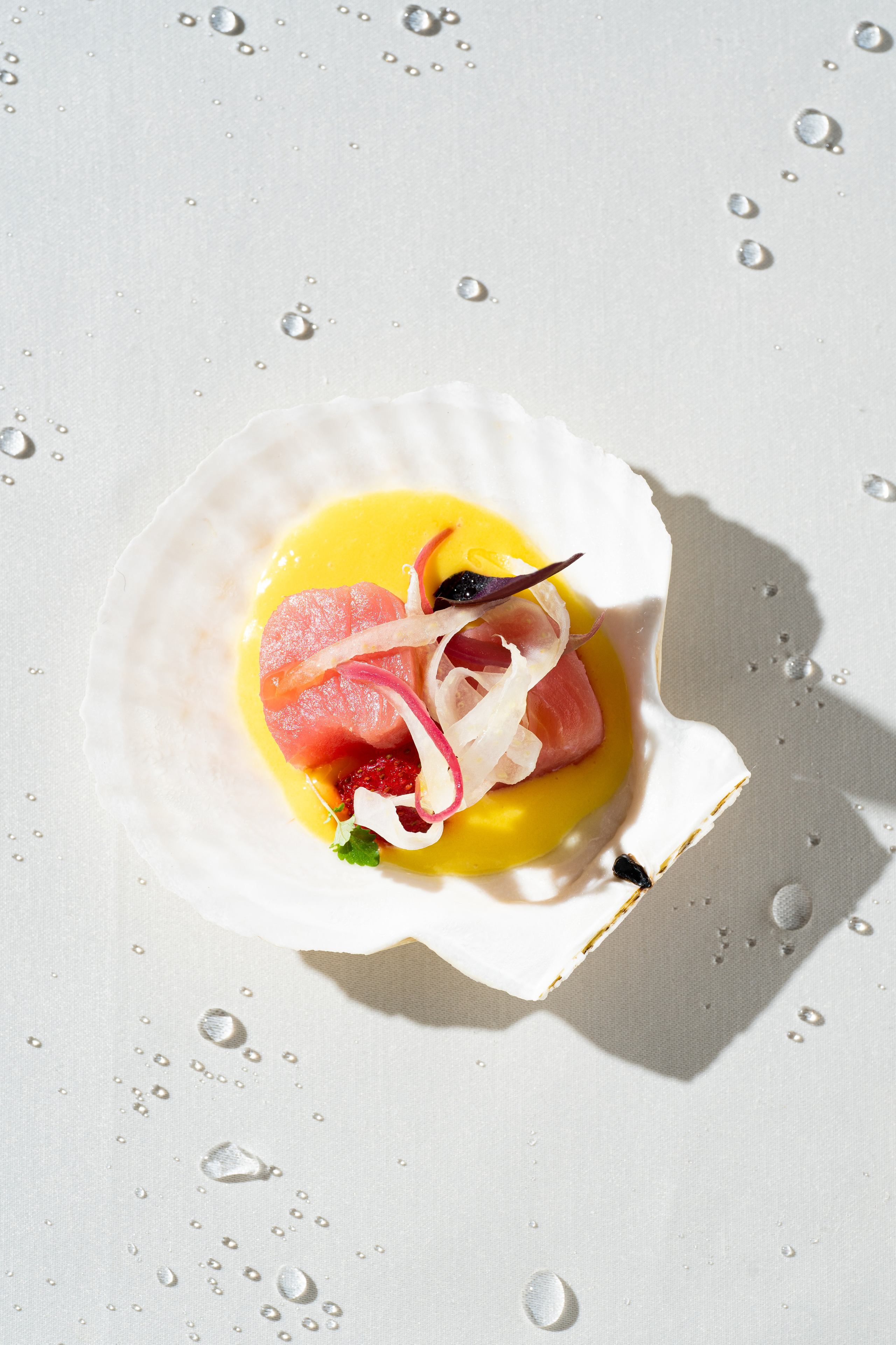 THE VIDOVOY. Фотограф Карина Филиппенко