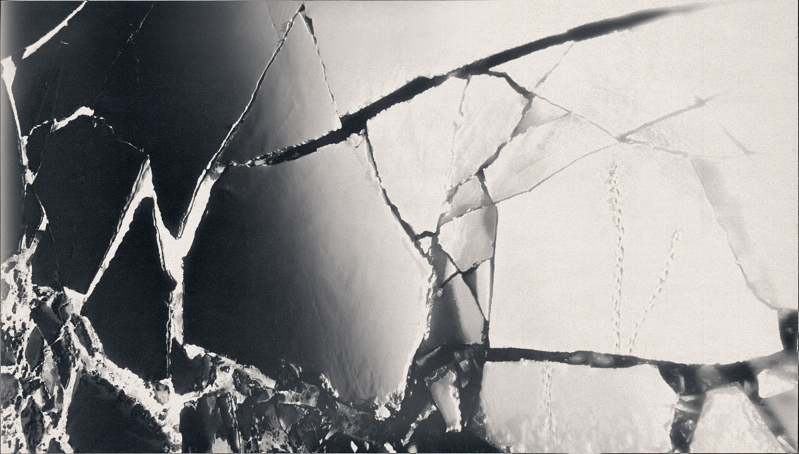 Точка черного. Сафонов Владислав, фотохудожник