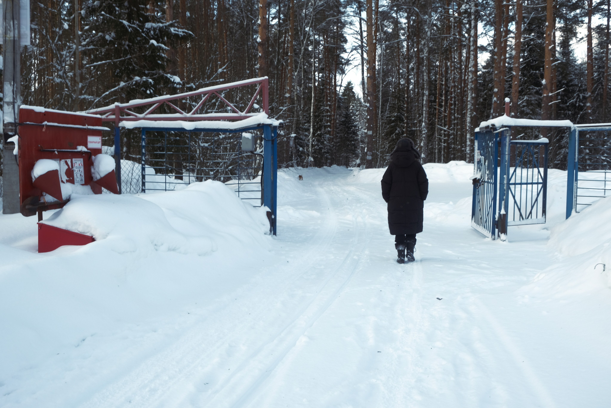 Под Москвой. Фотограф Настя Лев