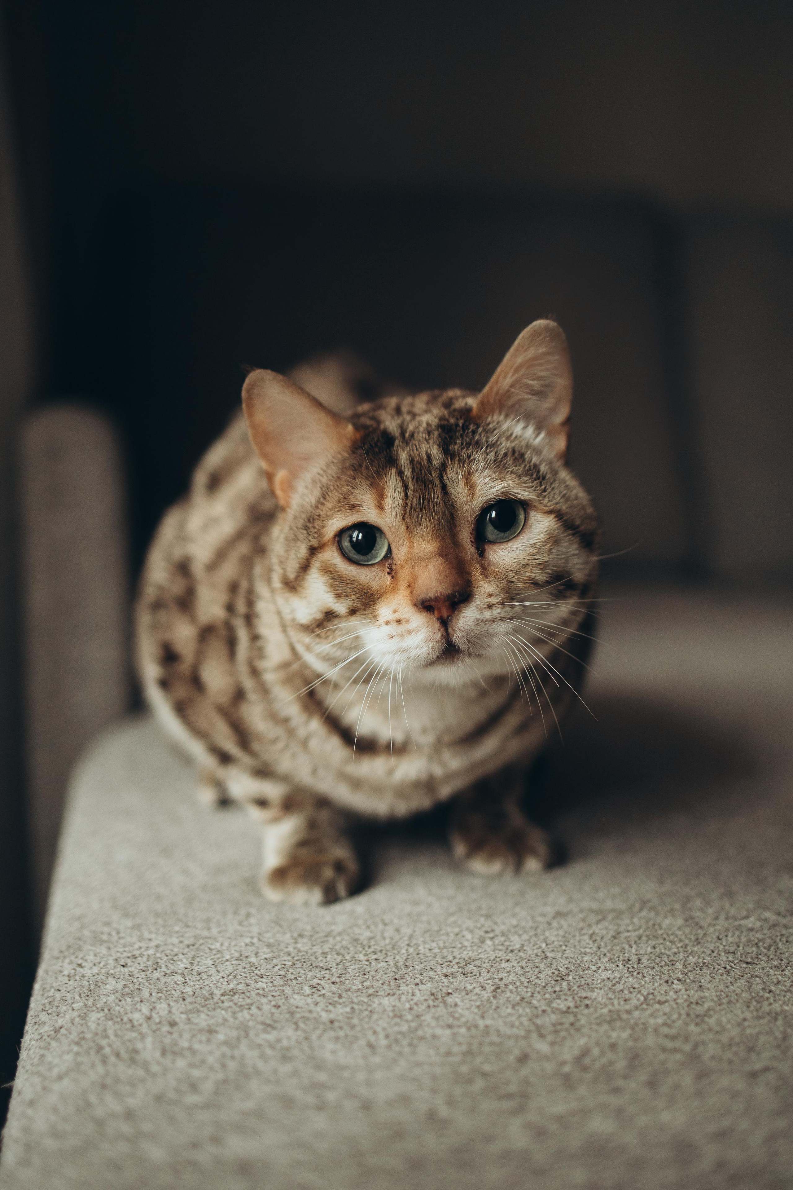 Первая фотосессия. Фотограф в Москве