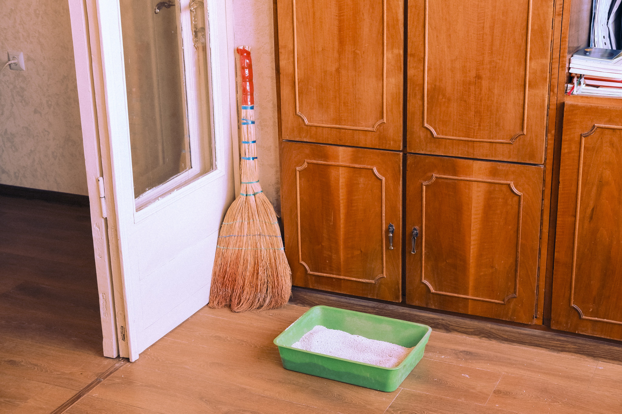 Городская и домашняя съемка в Тбилиси/ Алина и Гриша/ Или фотоблог из спального района. Photographer Tbilisi