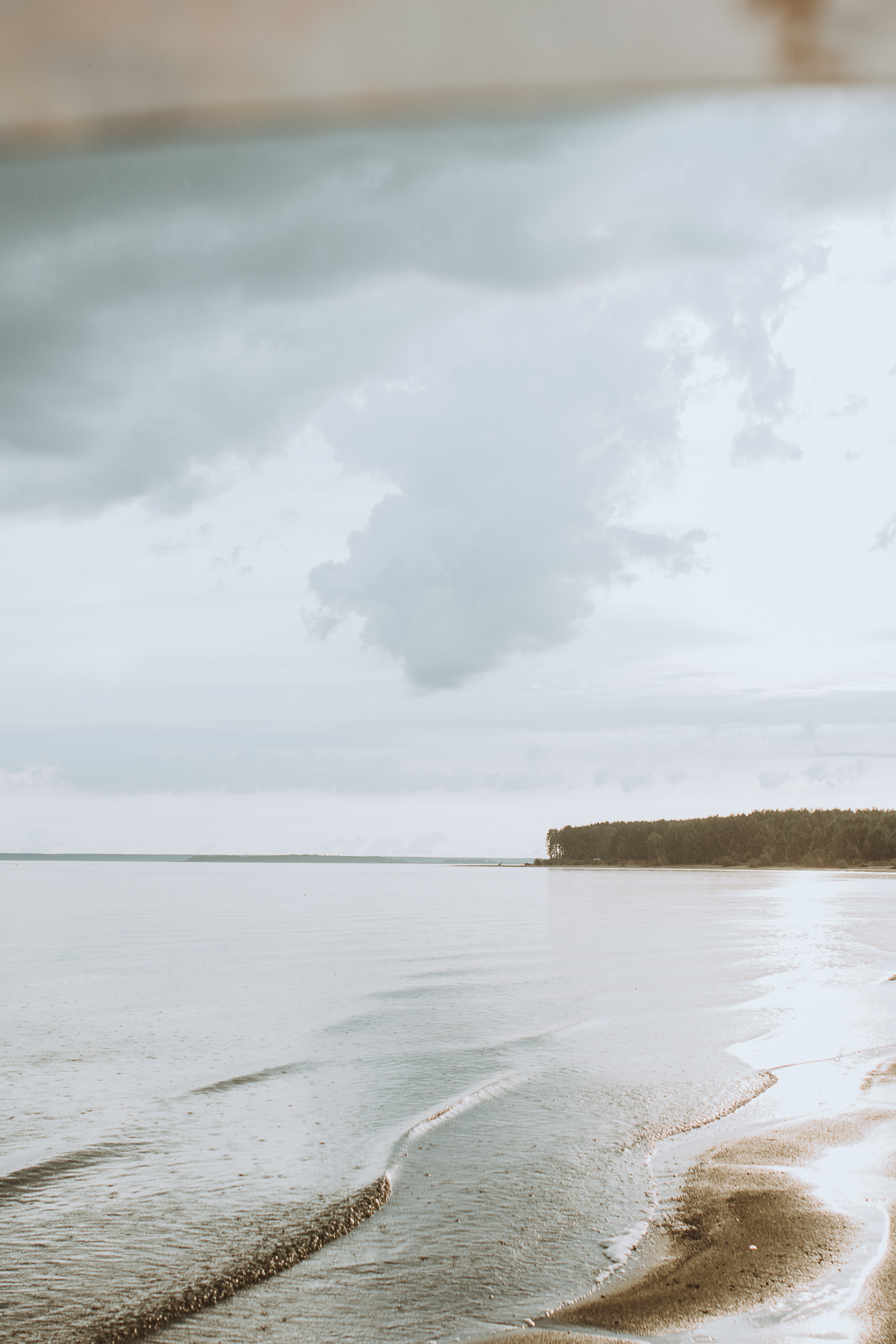 На берегу ловили ветер. Фотограф Параничева Ольга Череповец