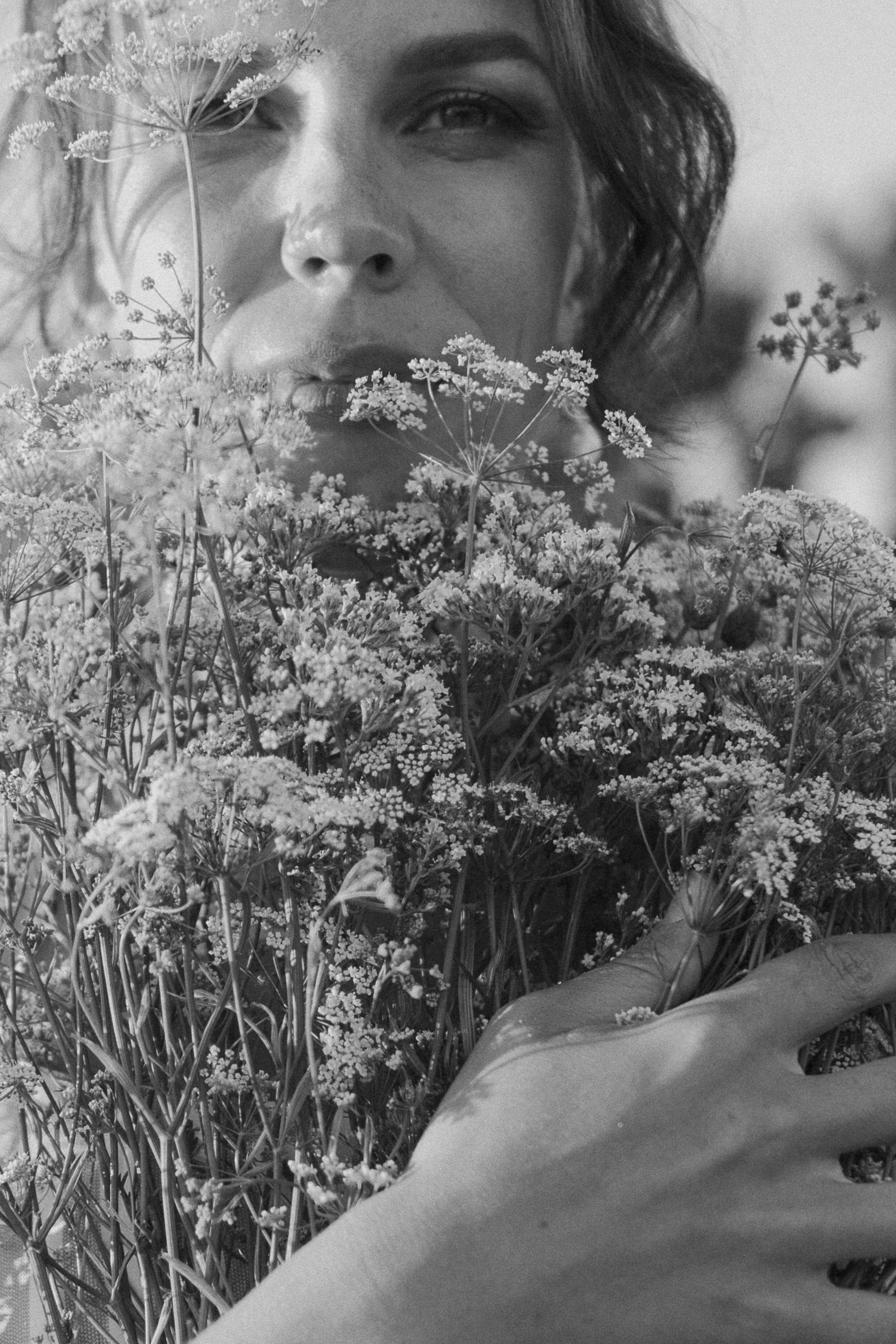 Поле цветов. Фотограф Параничева Ольга Череповец