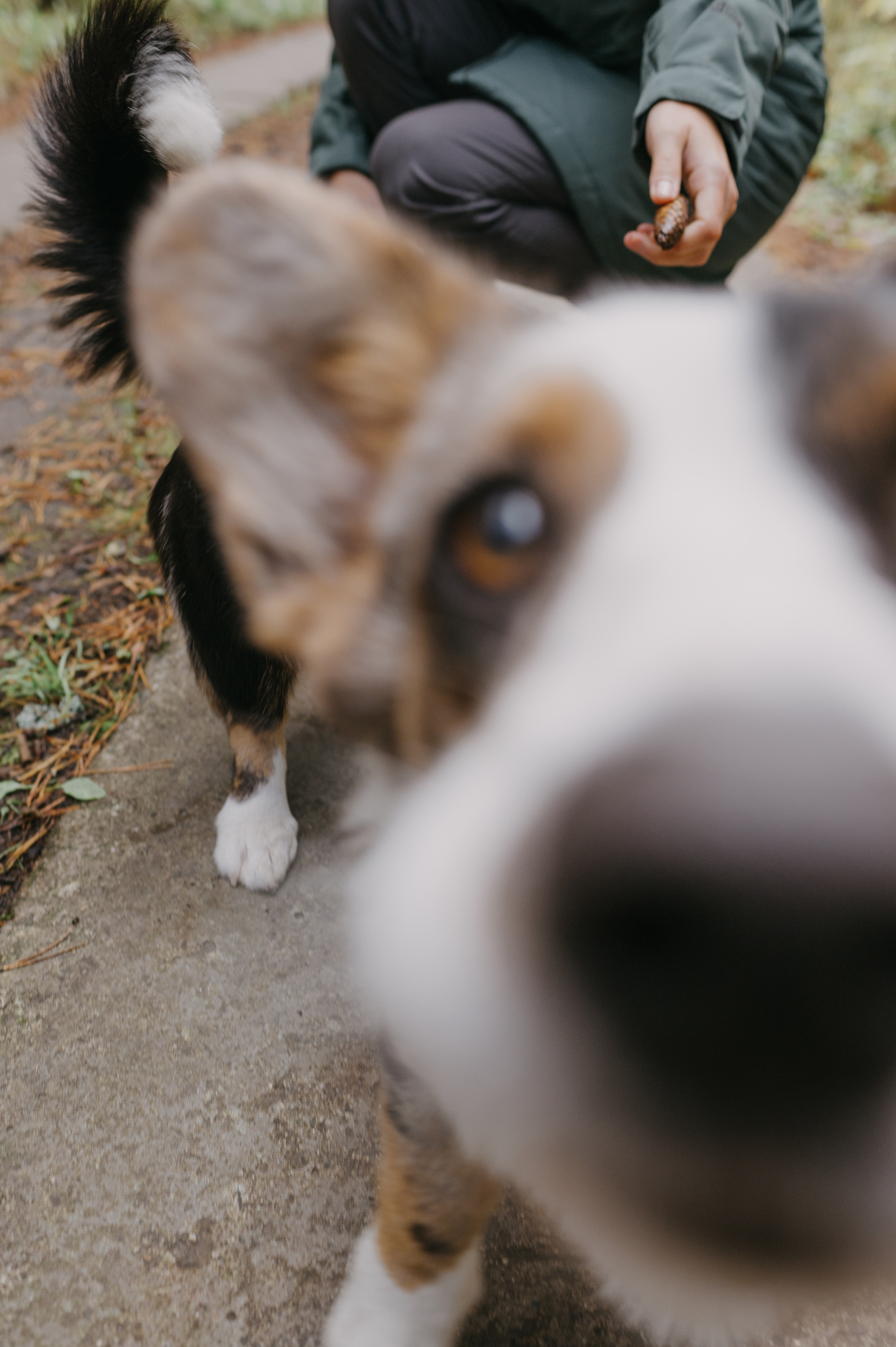 Рядом с нами луна. Фотограф Параничева Ольга Череповец
