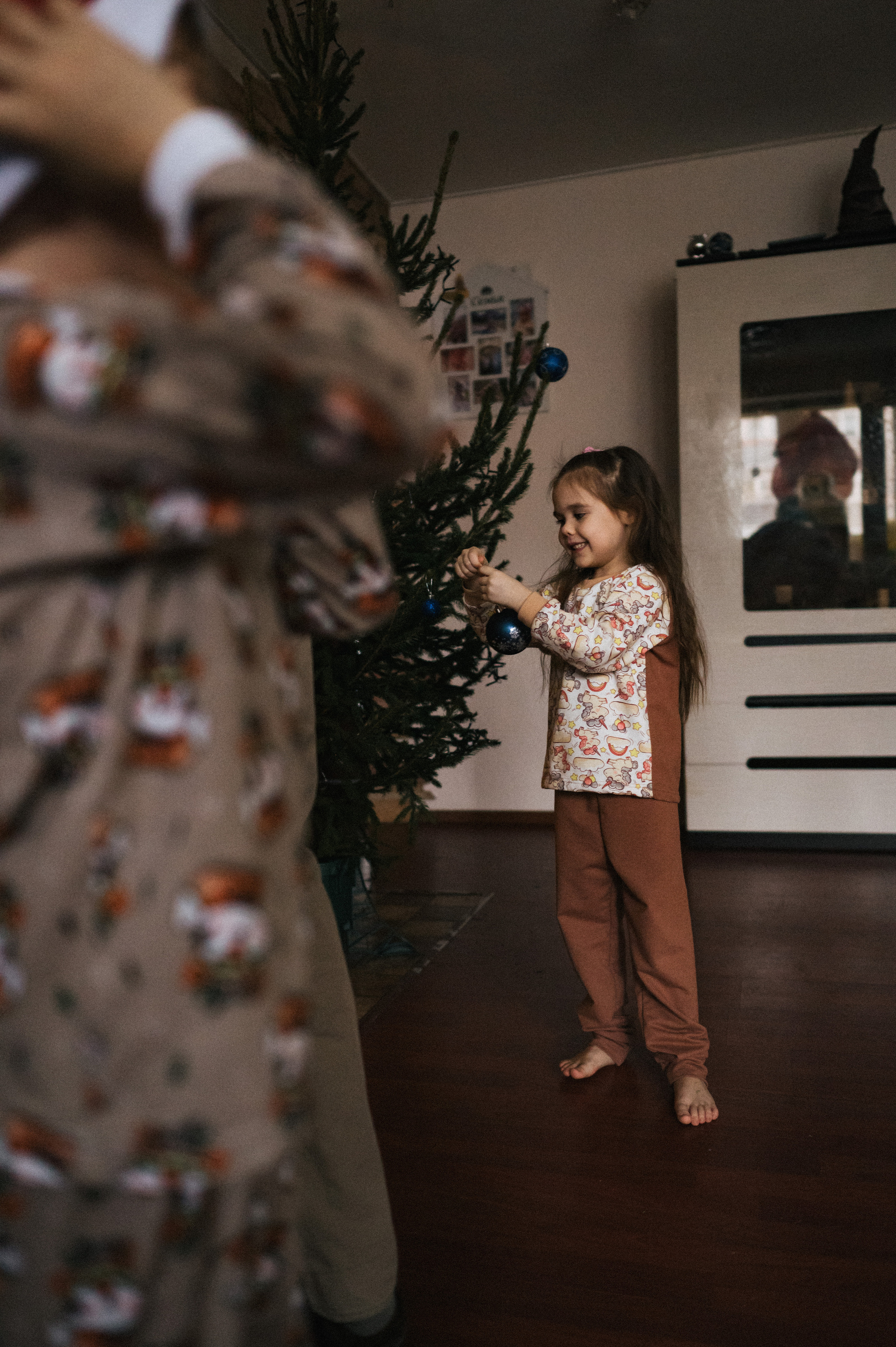 Живая елка. Фотограф Параничева Ольга Череповец