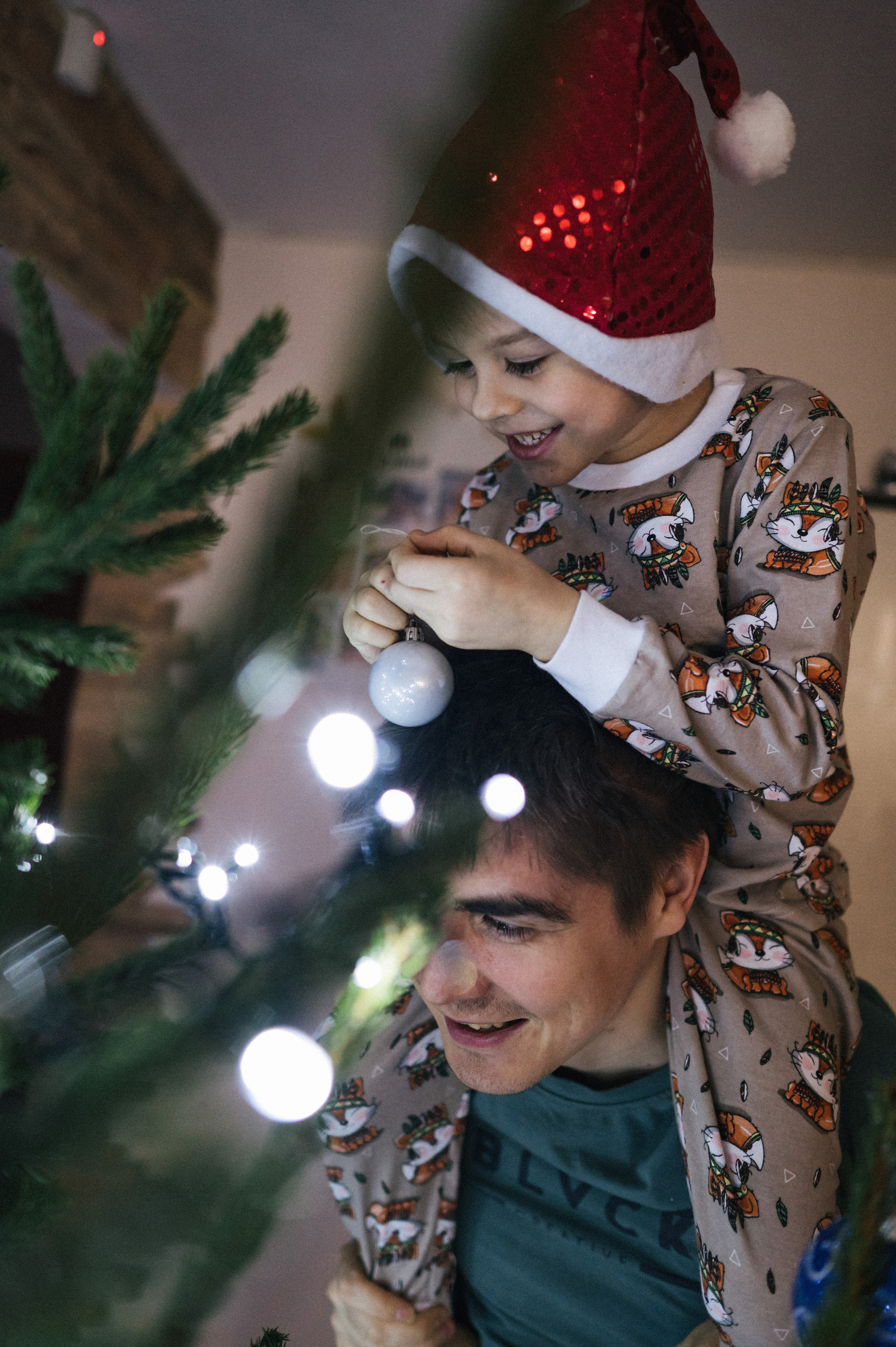 Живая елка. Фотограф Параничева Ольга Череповец