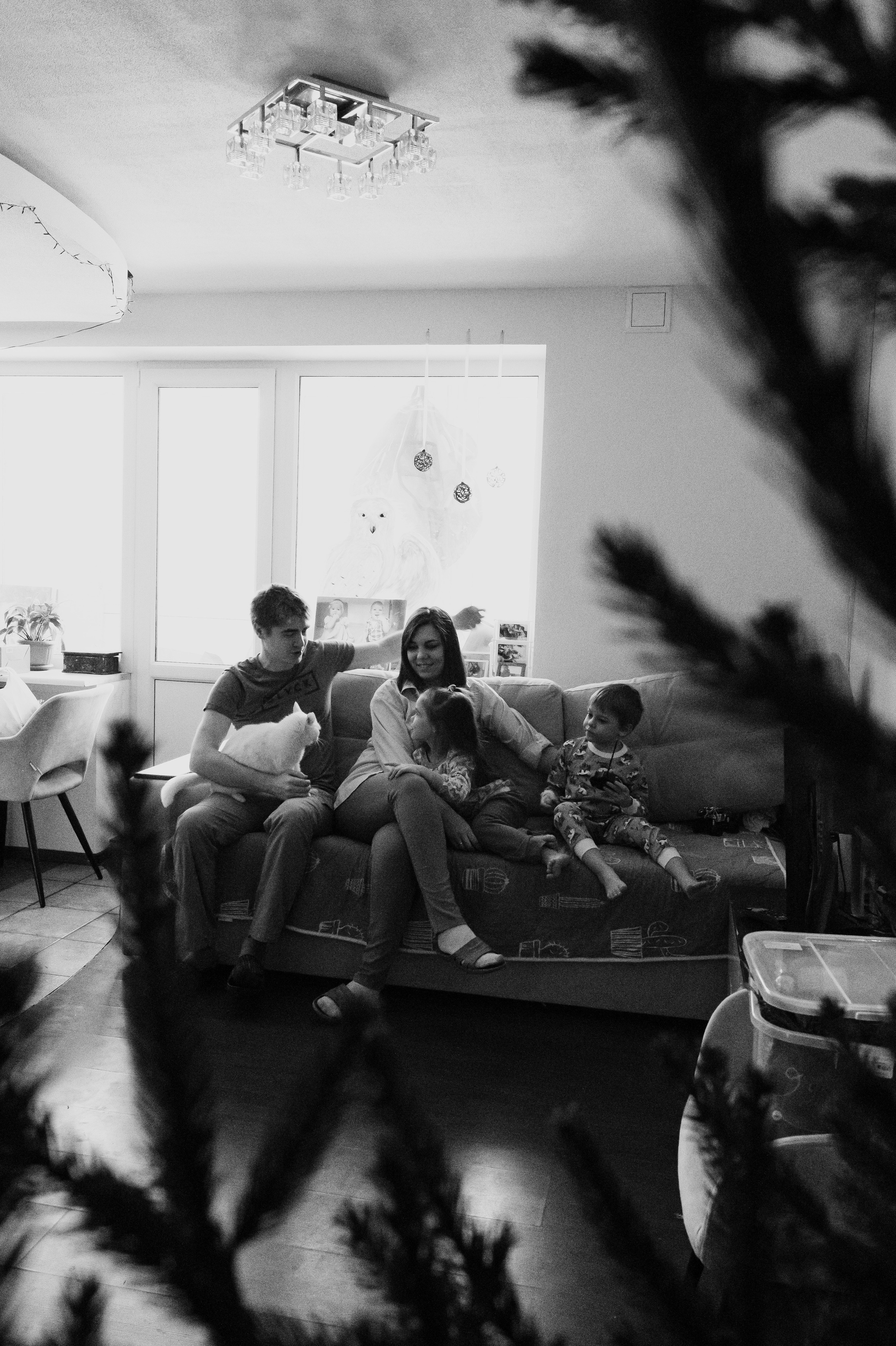 Живая елка. Фотограф Параничева Ольга Череповец