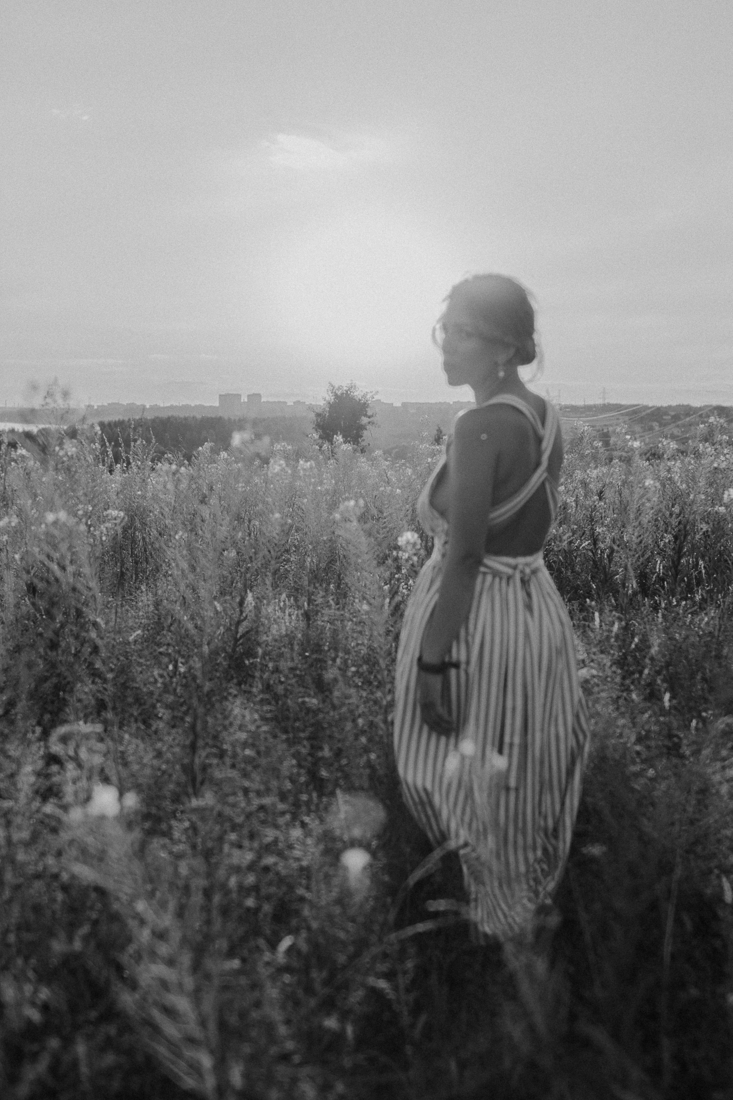 Поле цветов. Фотограф Параничева Ольга Череповец