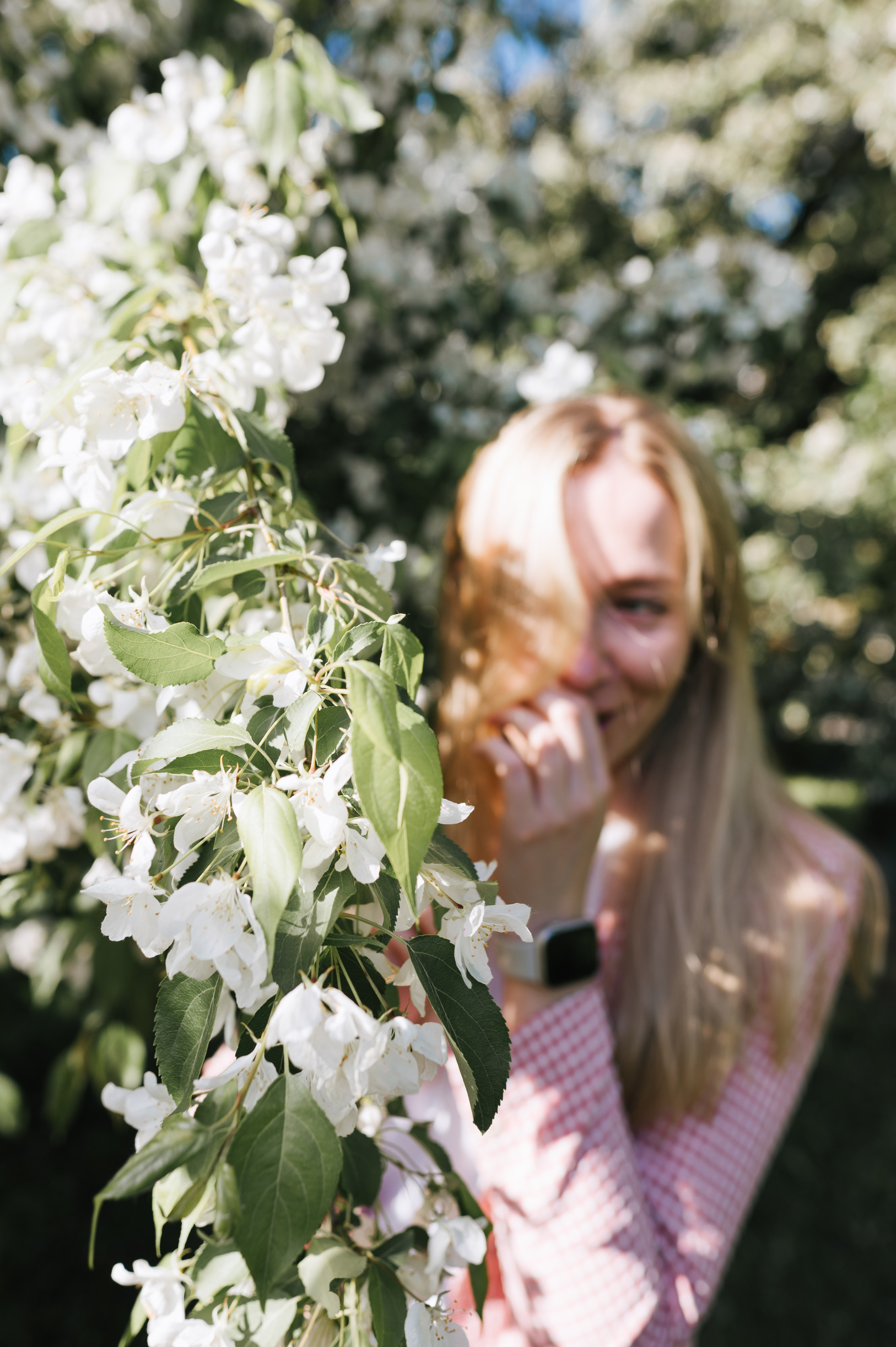 Летний день. Фотограф Параничева Ольга Череповец