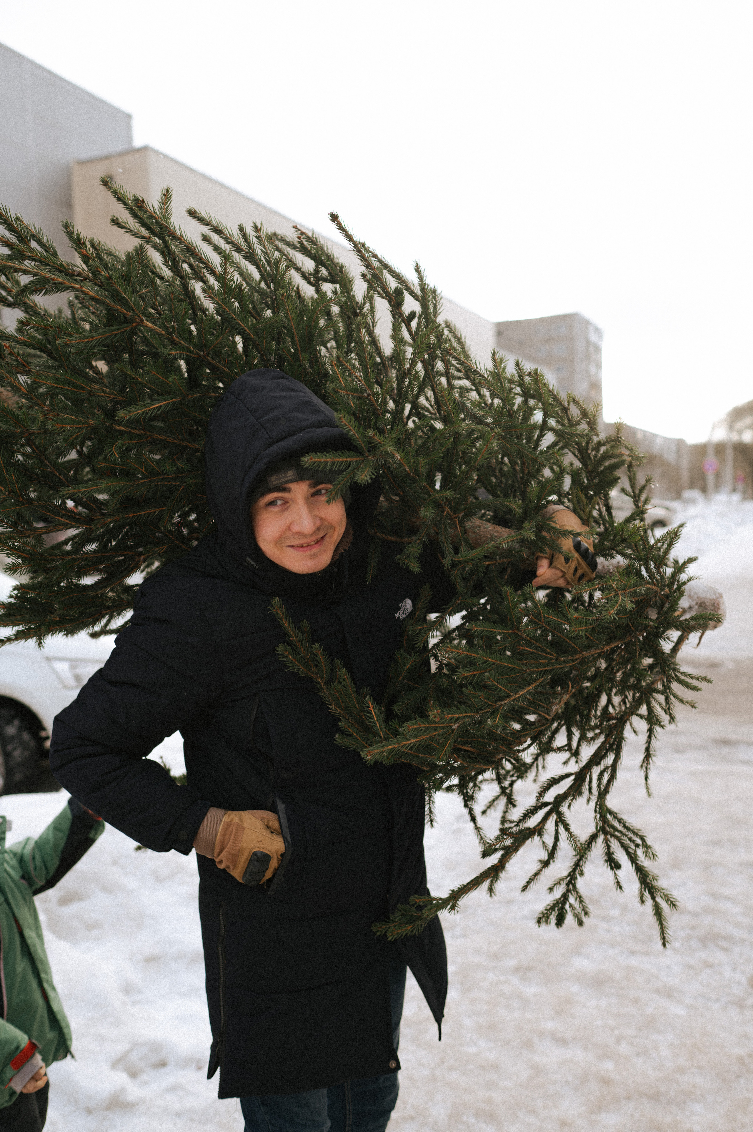 Живая елка. Фотограф Параничева Ольга Череповец