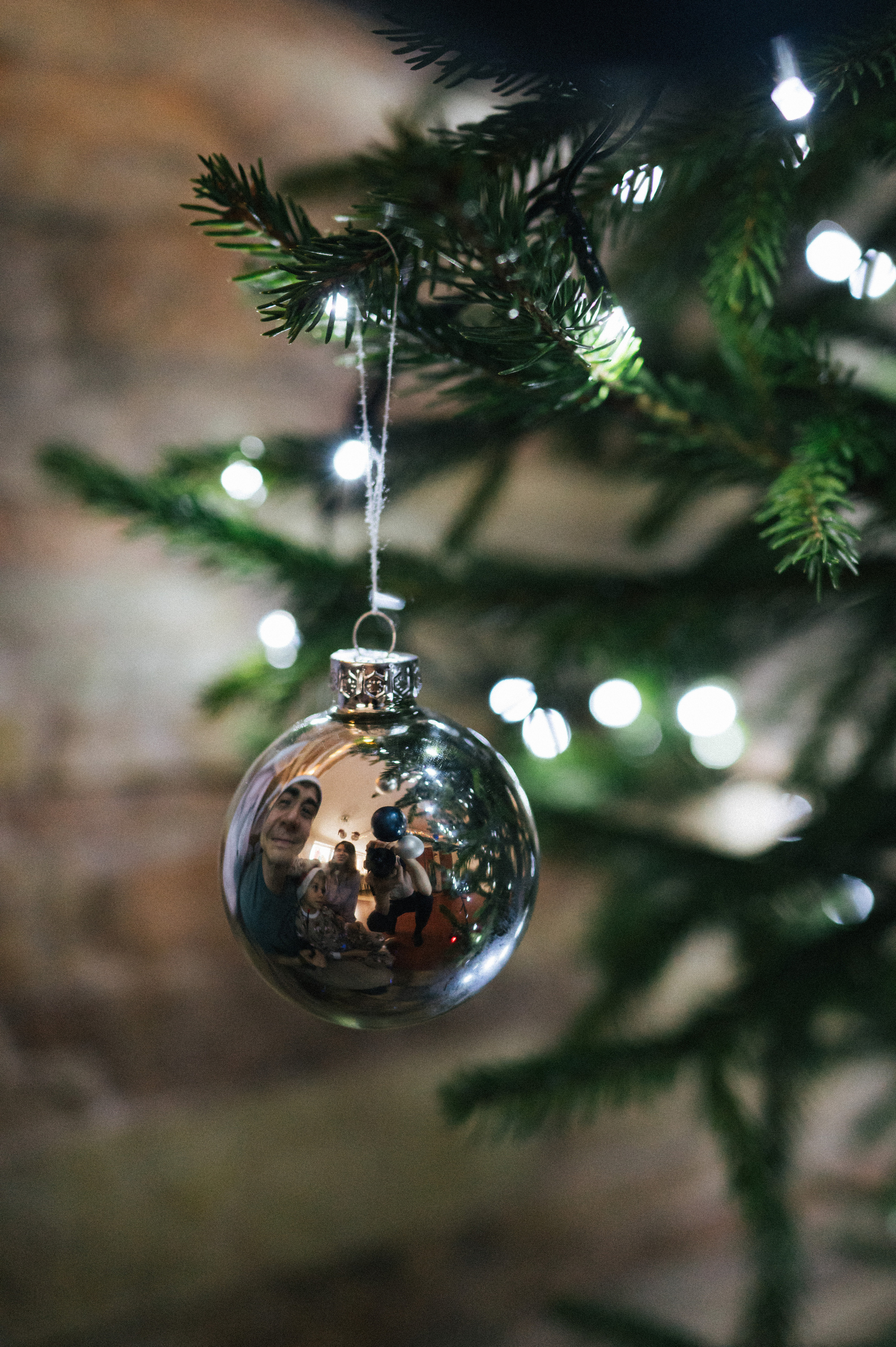 Живая елка. Фотограф Параничева Ольга Череповец