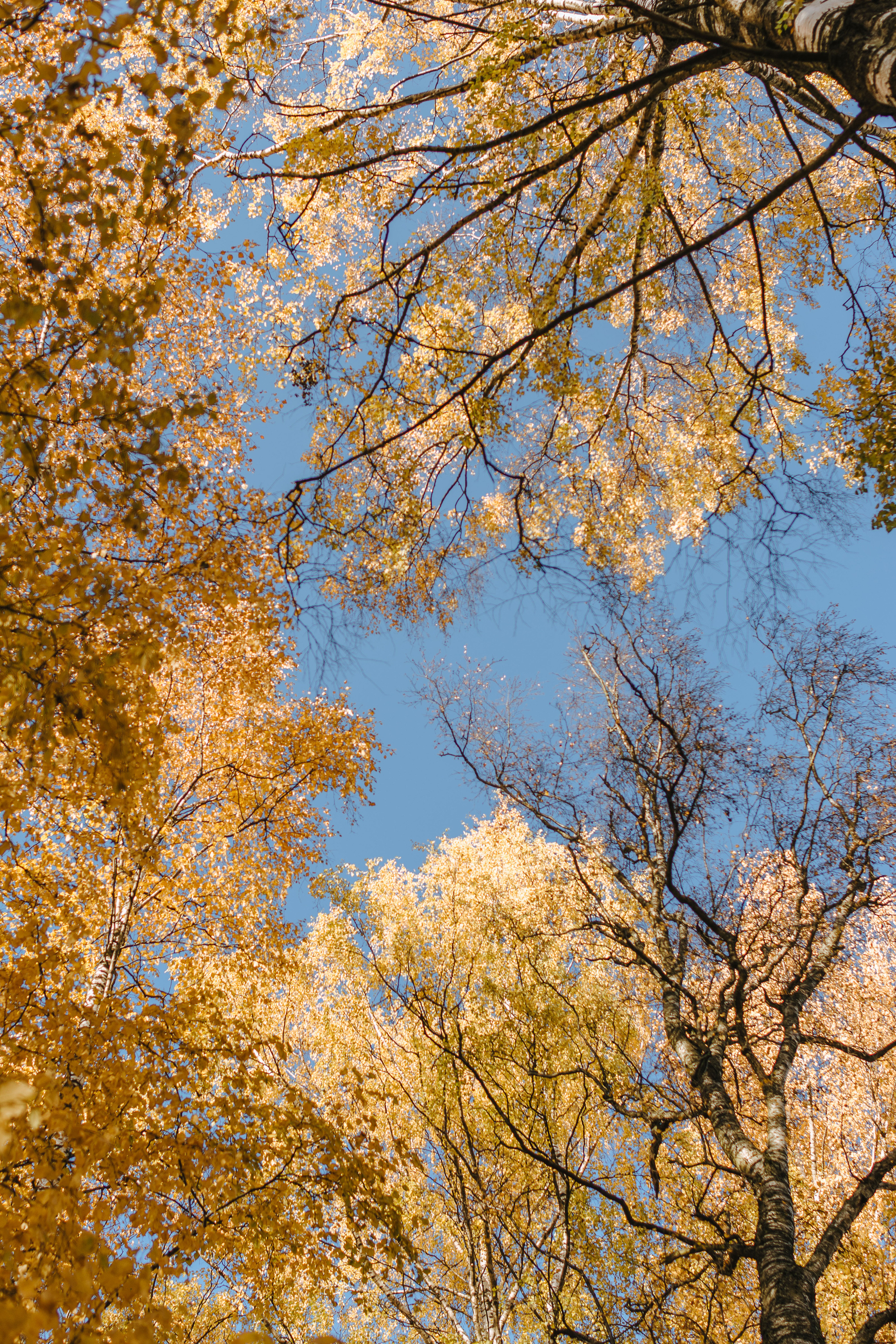 Дарья и Василий. Фотограф Параничева Ольга Череповец
