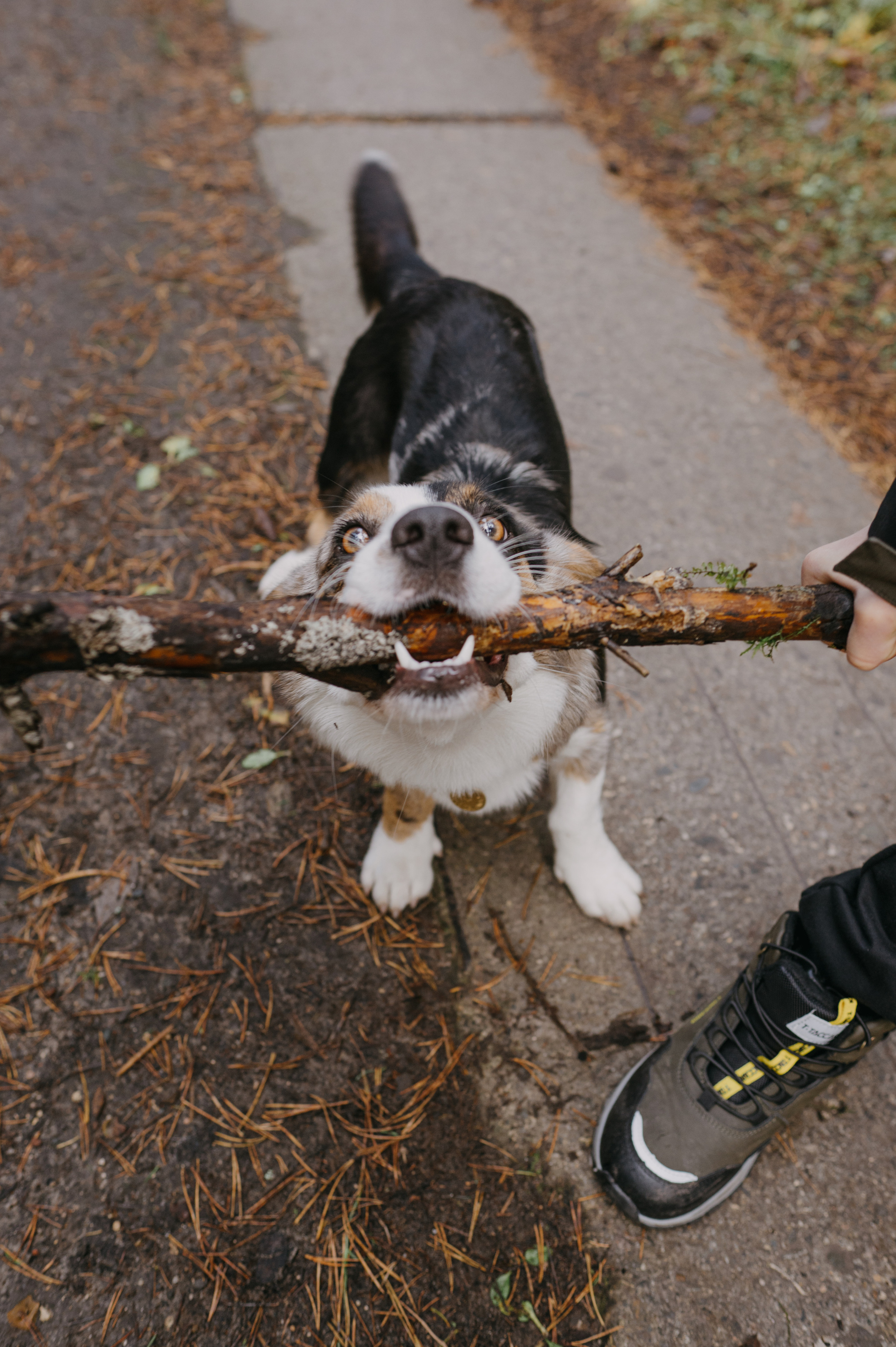 Рядом с нами луна. Фотограф Параничева Ольга Череповец