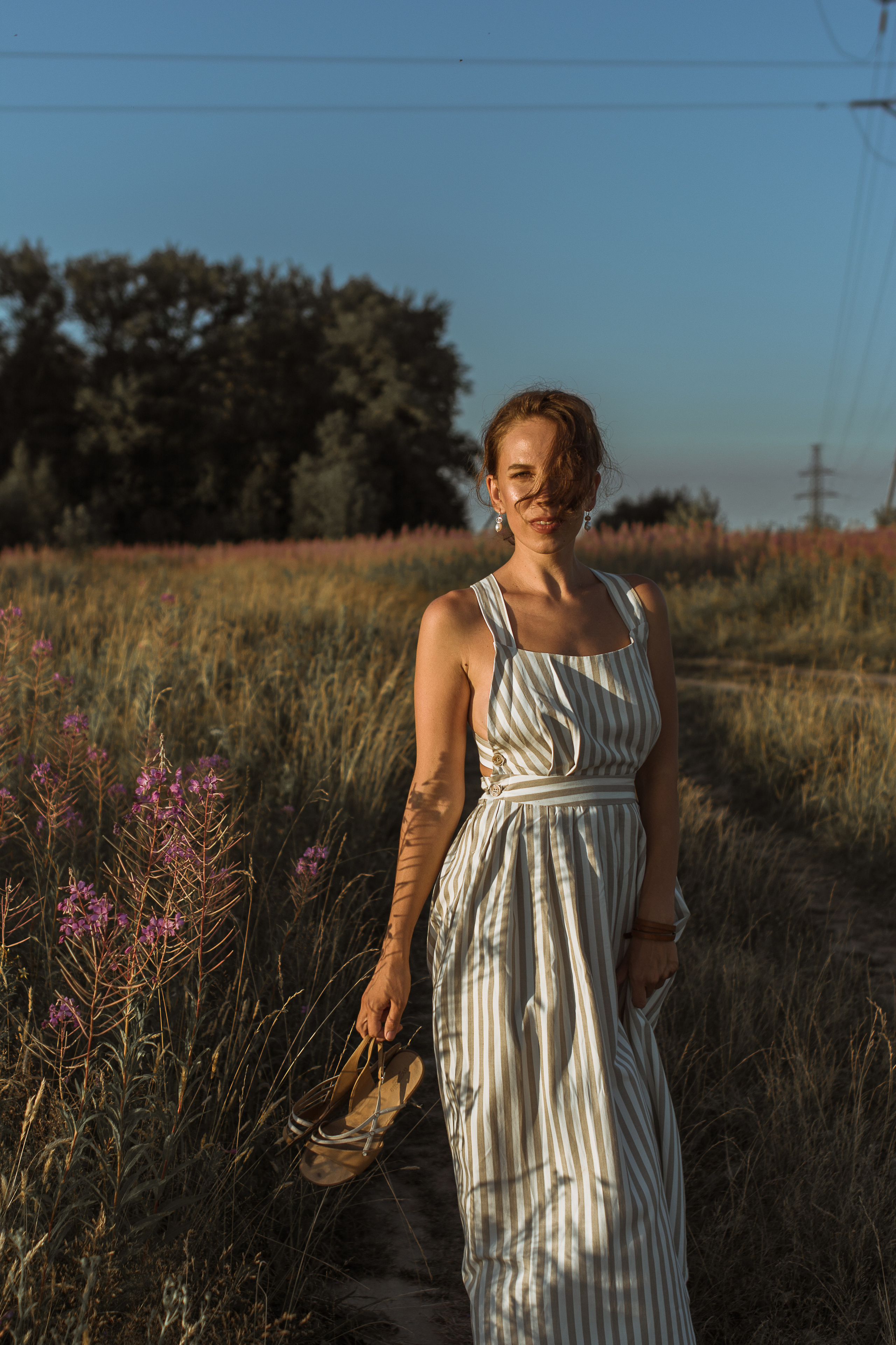 Поле цветов. Фотограф Параничева Ольга Череповец