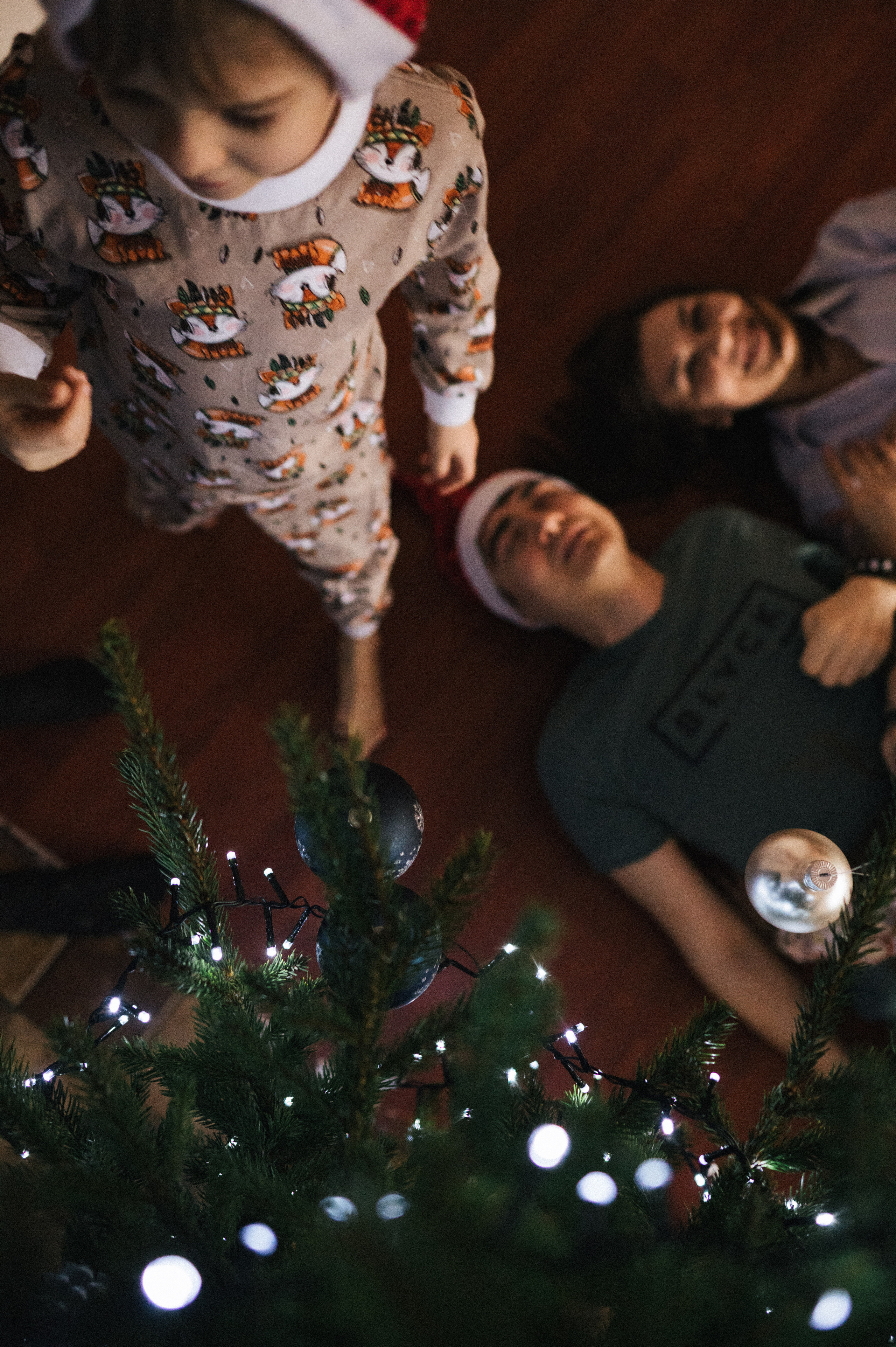 Живая елка. Фотограф Параничева Ольга Череповец