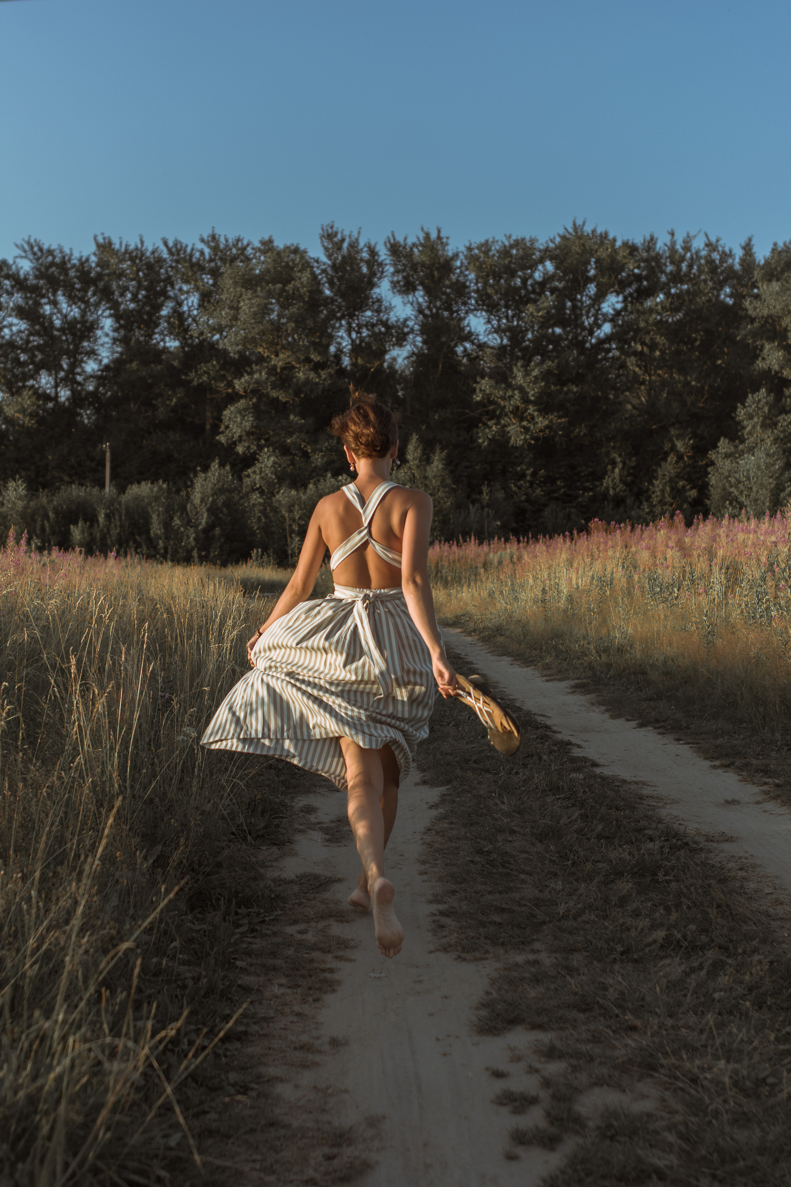 Поле цветов. Фотограф Параничева Ольга Череповец