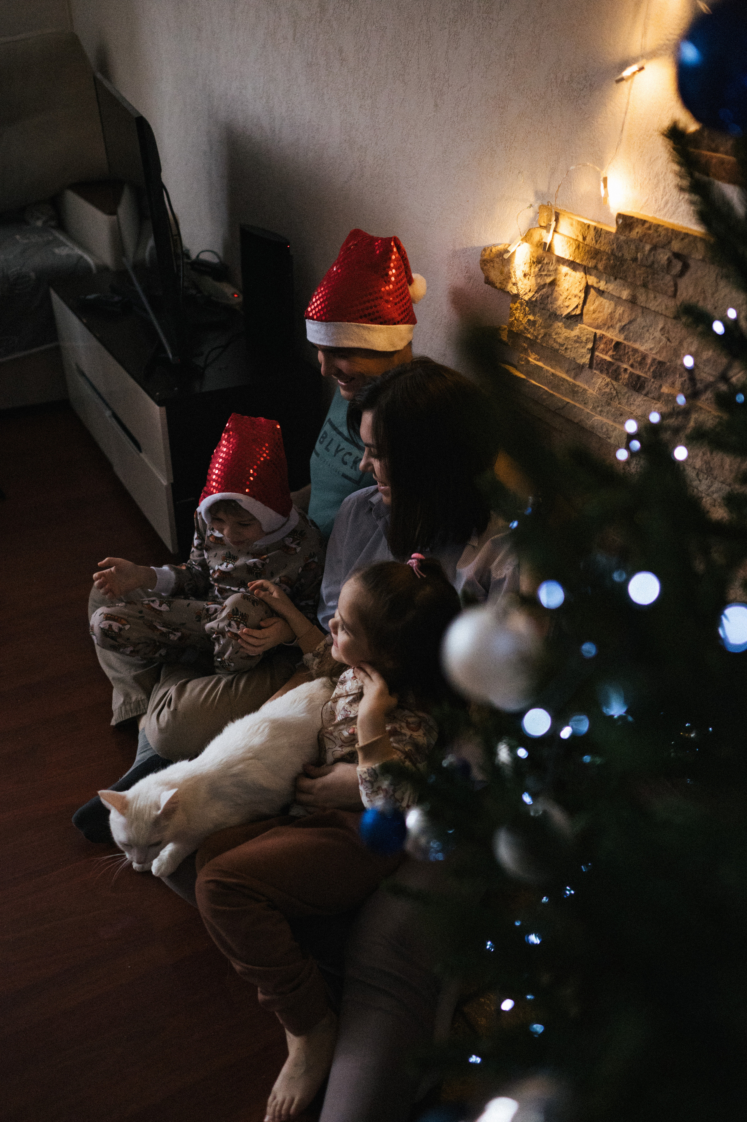 Живая елка. Фотограф Параничева Ольга Череповец