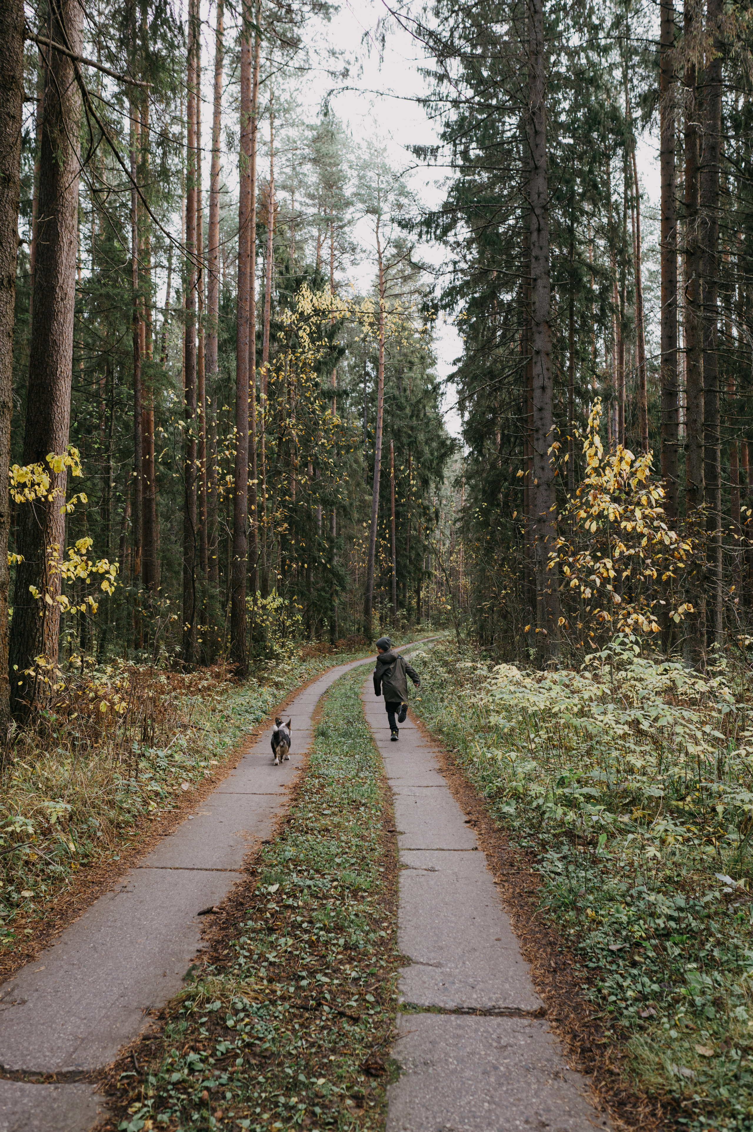 Рядом с нами луна. Фотограф Параничева Ольга Череповец