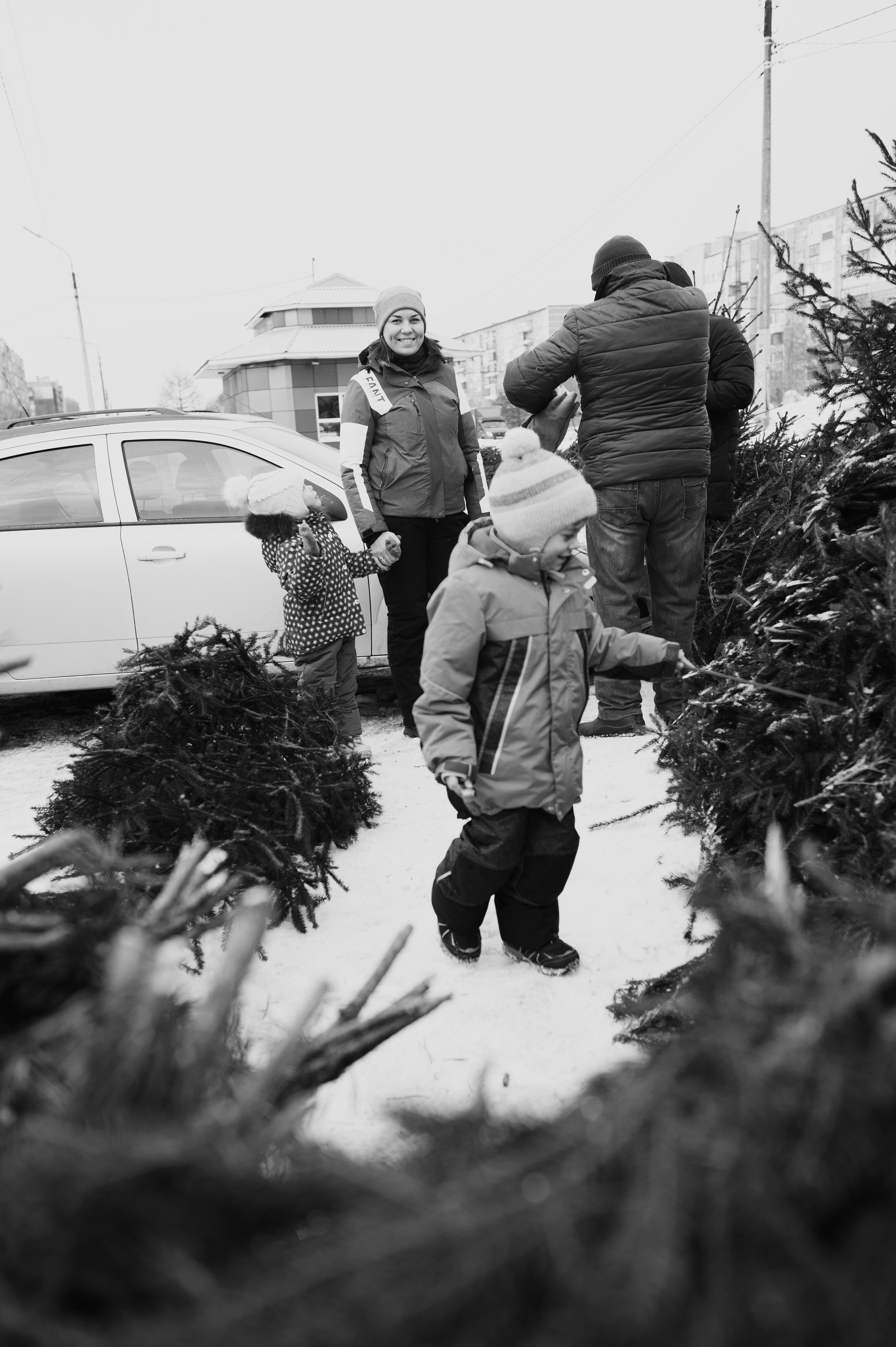 Живая елка. Фотограф Параничева Ольга Череповец