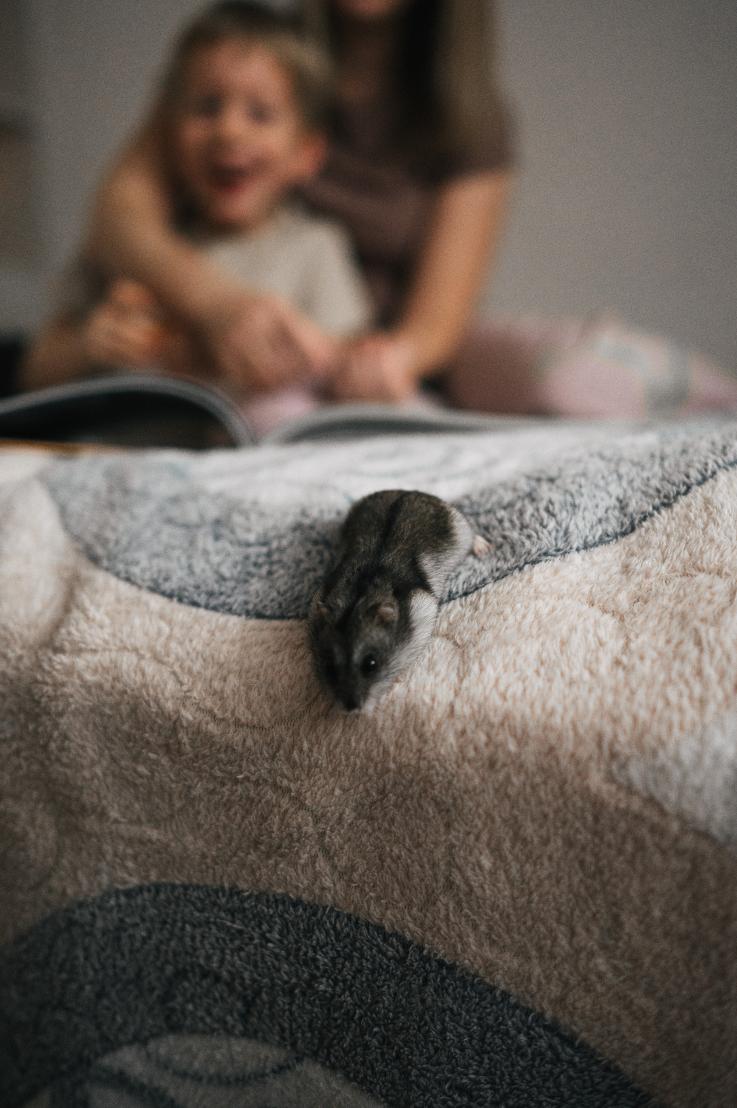 За окном идет снег…. Фотограф Параничева Ольга Череповец