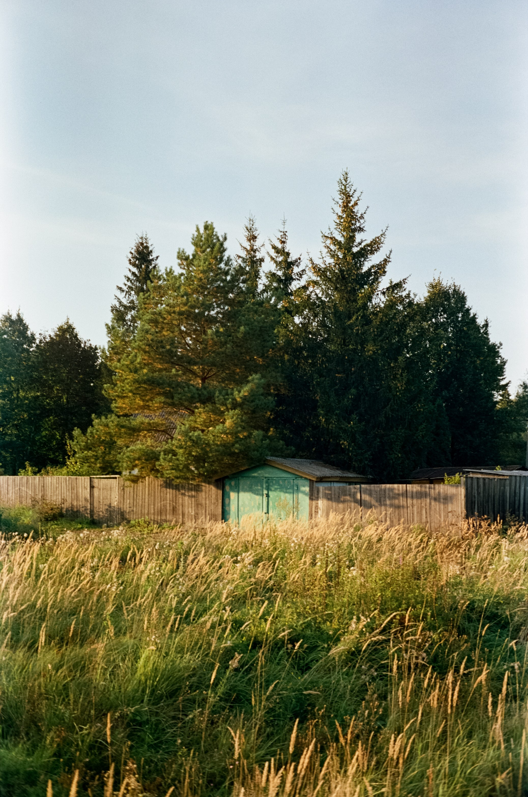 Minolta Hi-Matic 7SII примеры фотографий