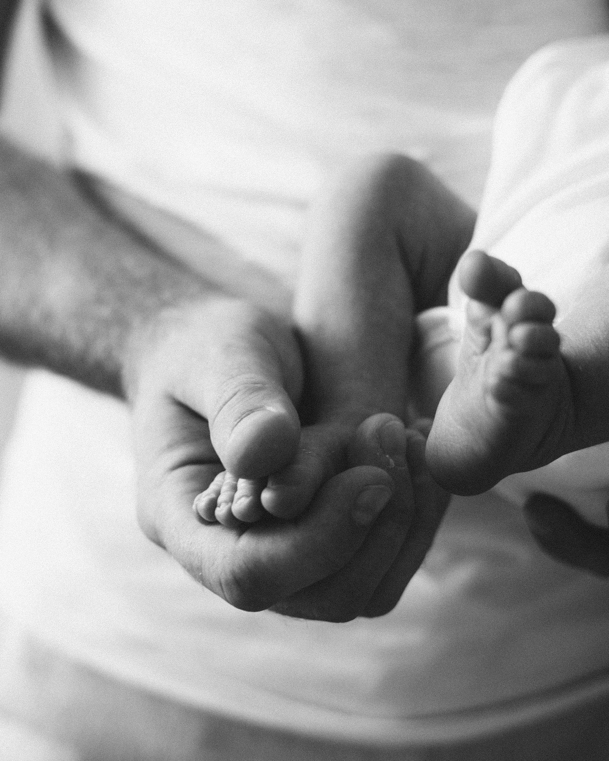 Лев родился. Фотограф Ксения Степаненко