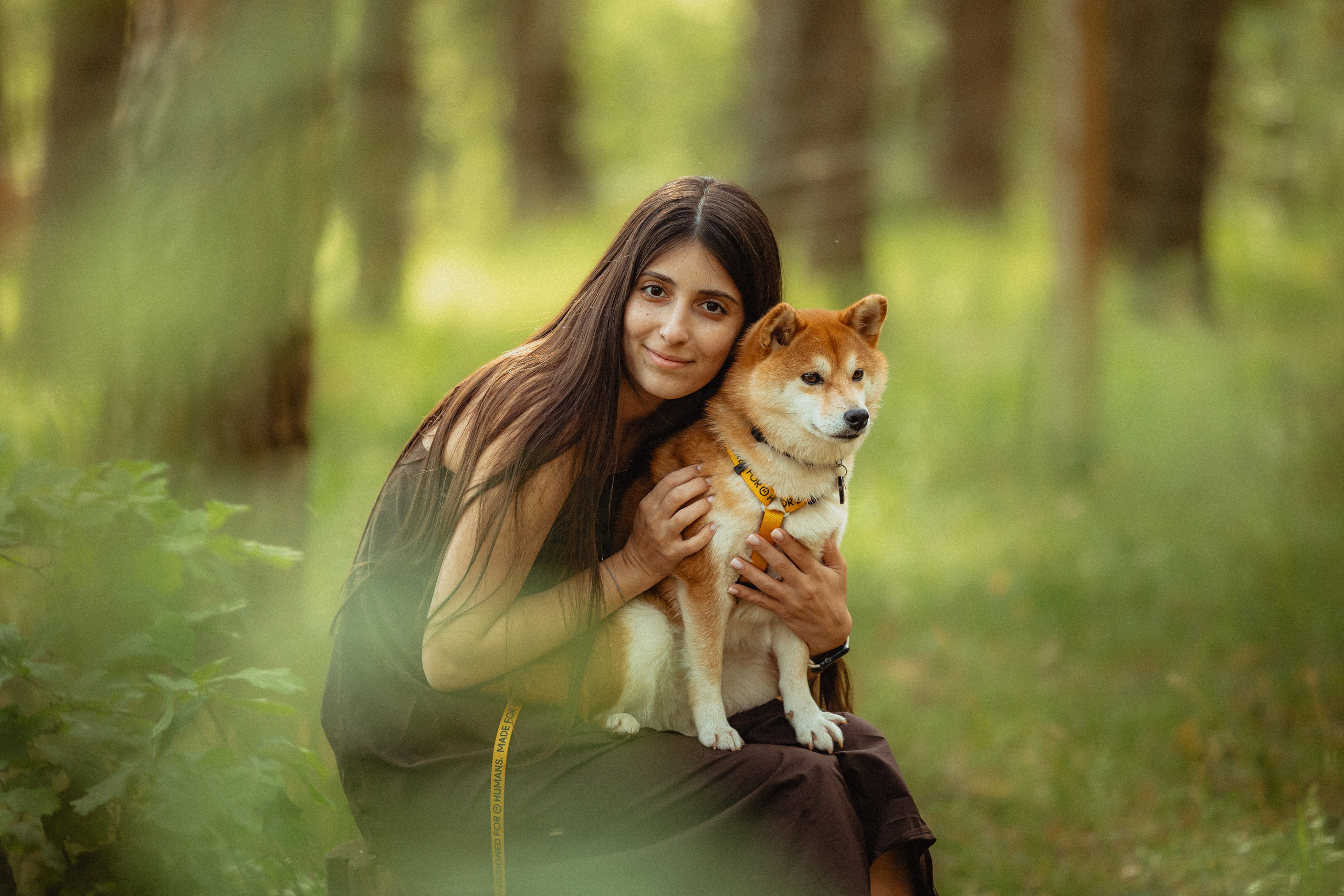 Выездной дог-тренинг от школы «Шерсть имею»