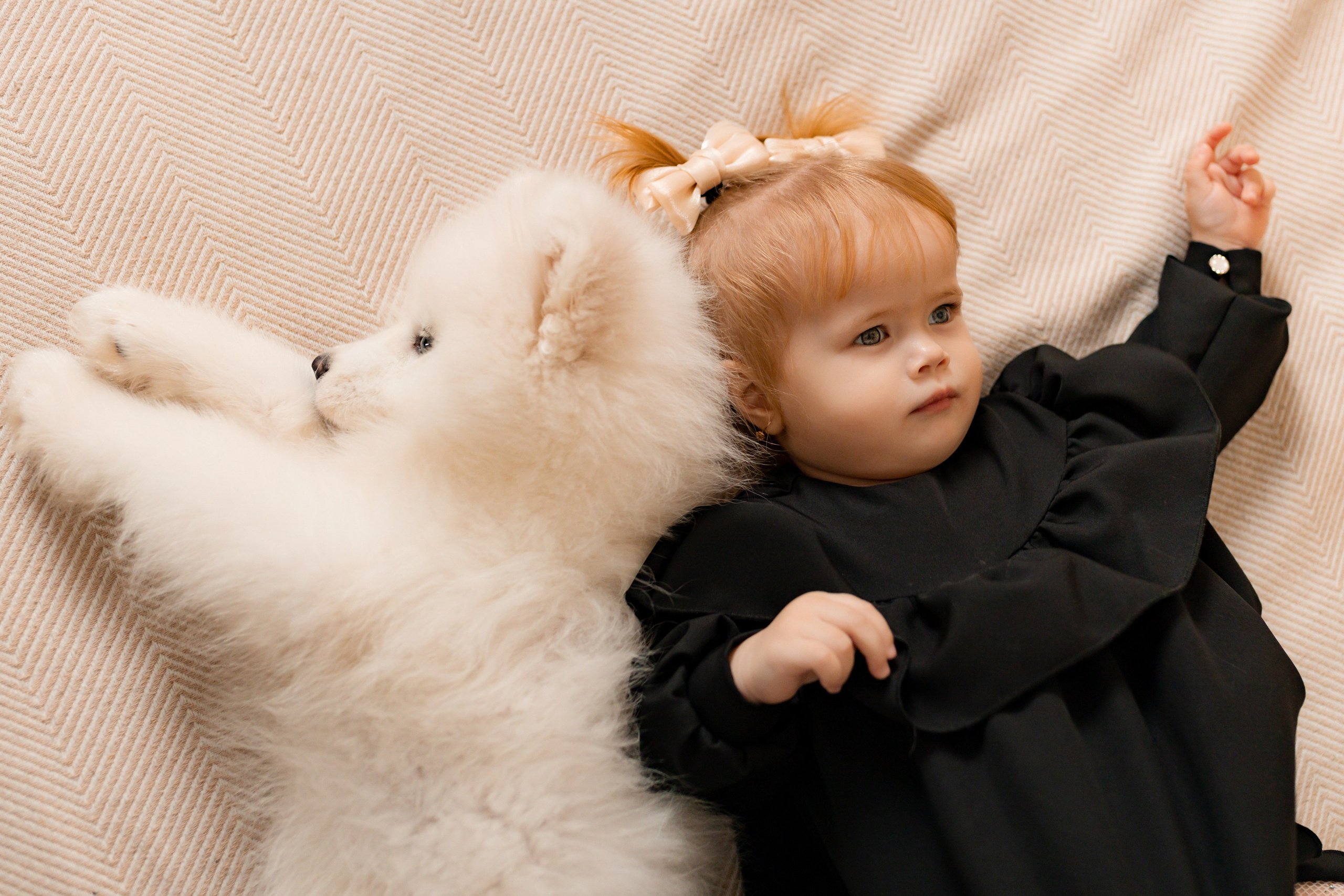 Новогодние съёмки. Интерьерная фотостудия в г. Барнаул