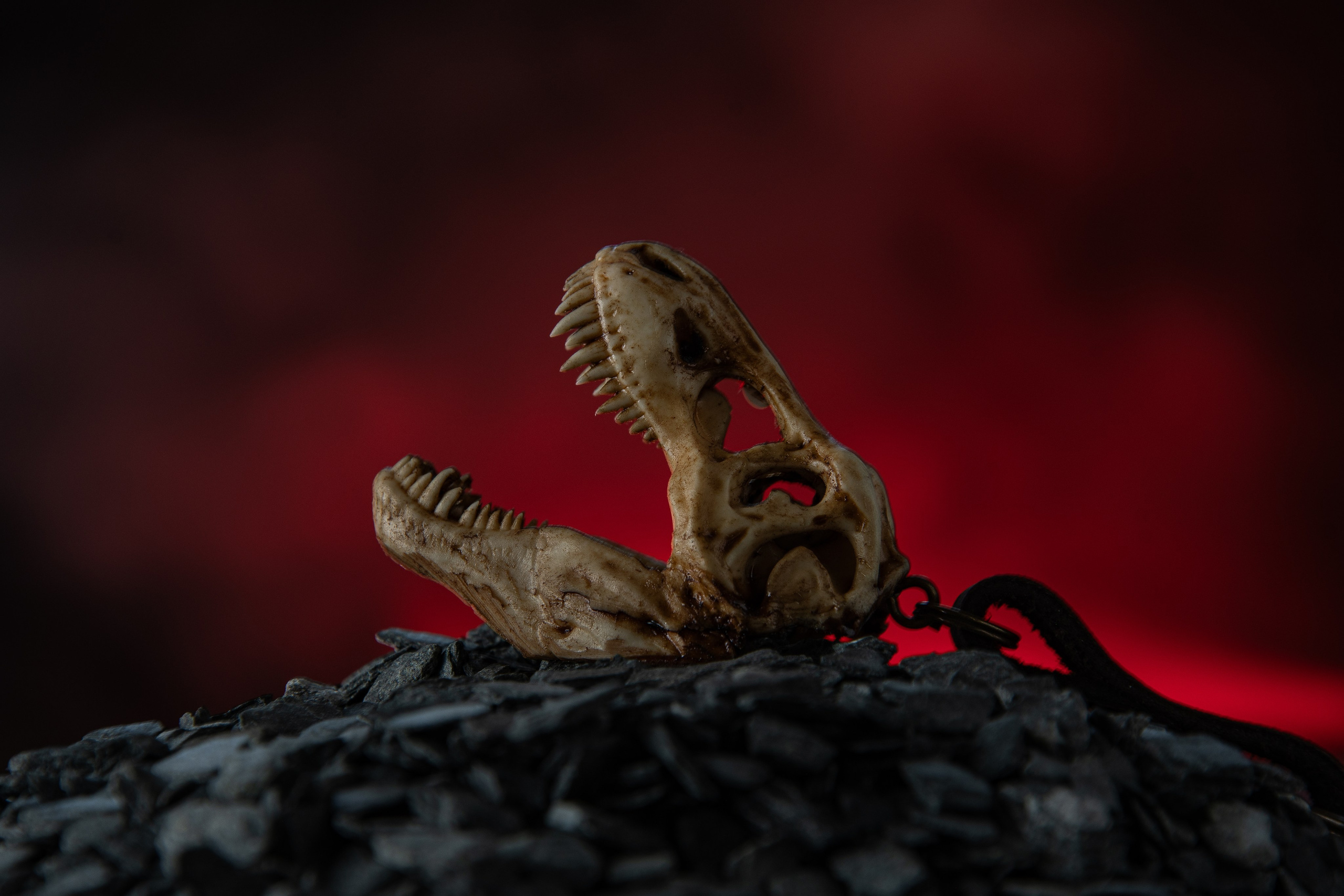 Фото и видео контент. Создание фото и видео контента. Предметная съемка. Предметный фотосъемка. Продакшн фото. Видео продакшн. Предметная фотосъемка в Москве. Предметный фотограф — Вячеслав Иванов