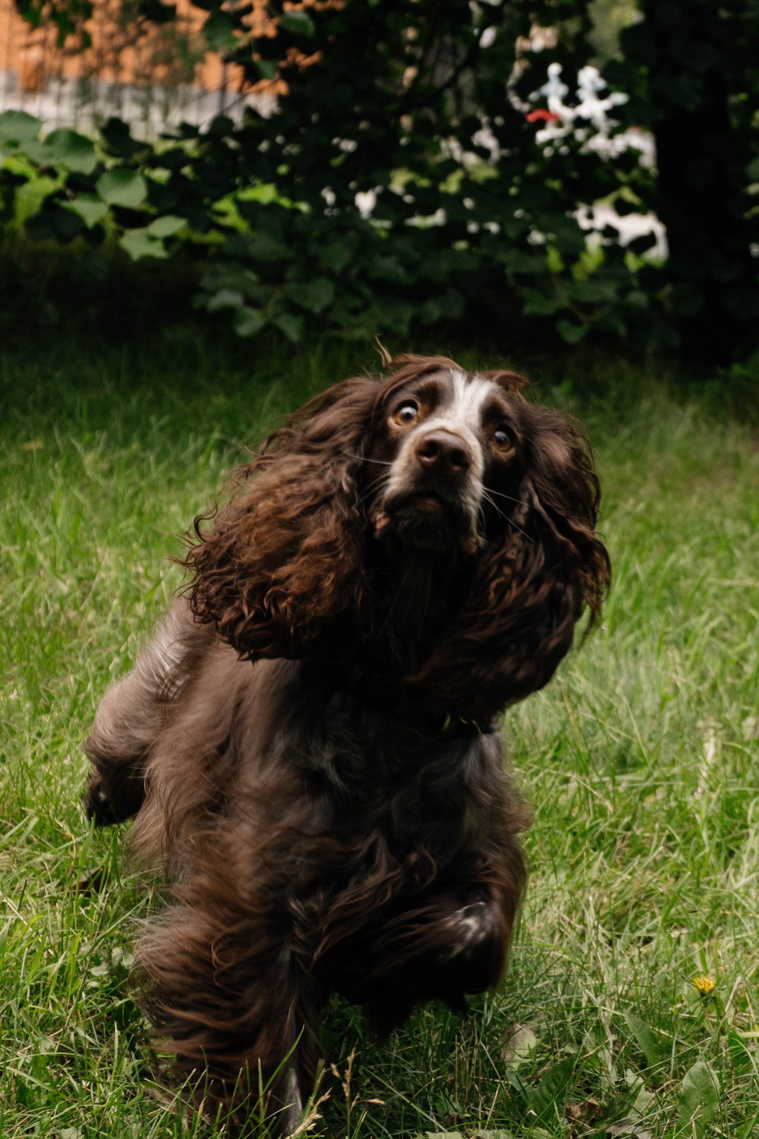 Марина и Тея. Фотограф Елена Балакина (Челябинск)