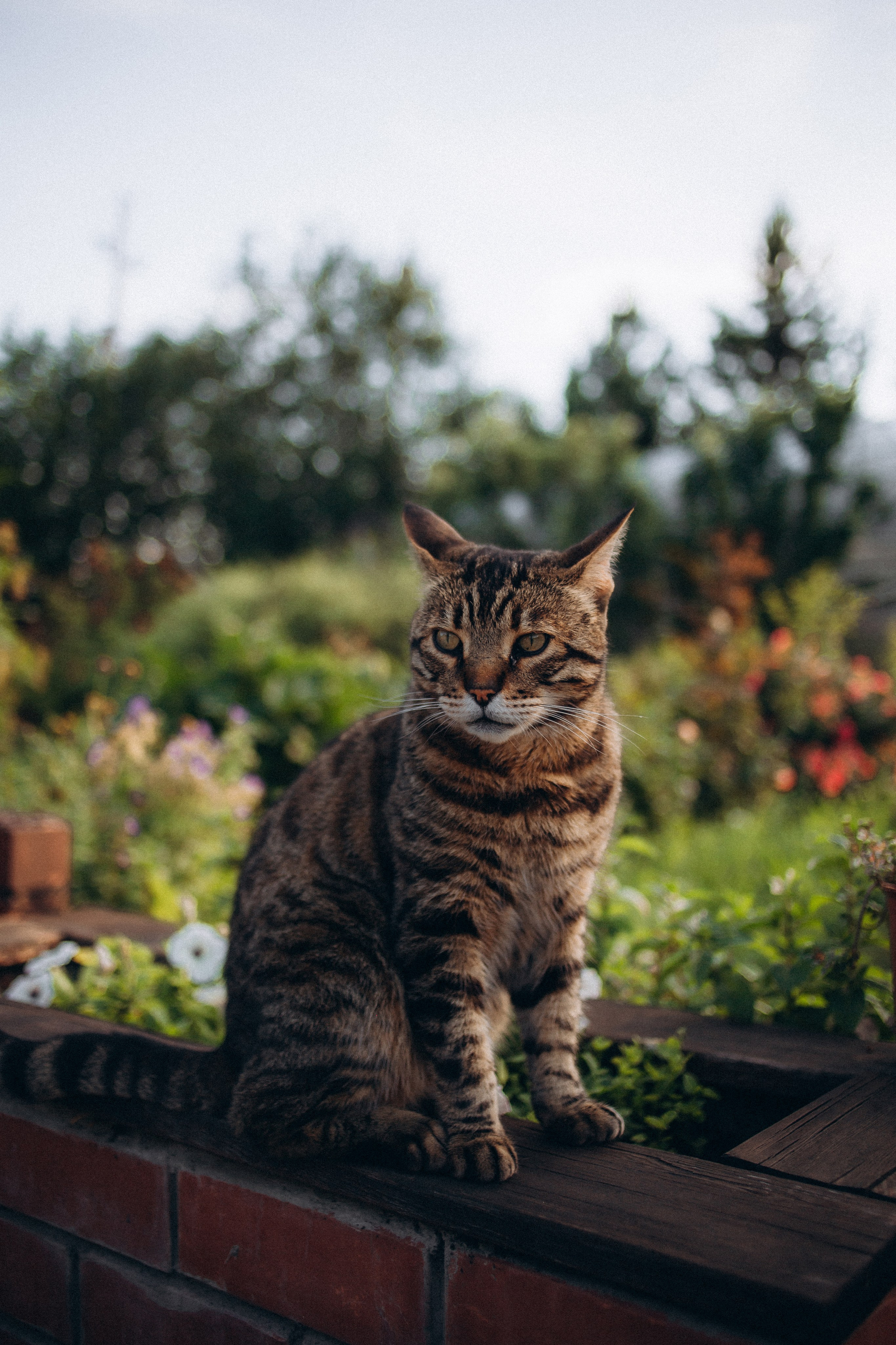 Семейная съемка. Близняшки. Фотограф в Челябинске Ополихина Анна